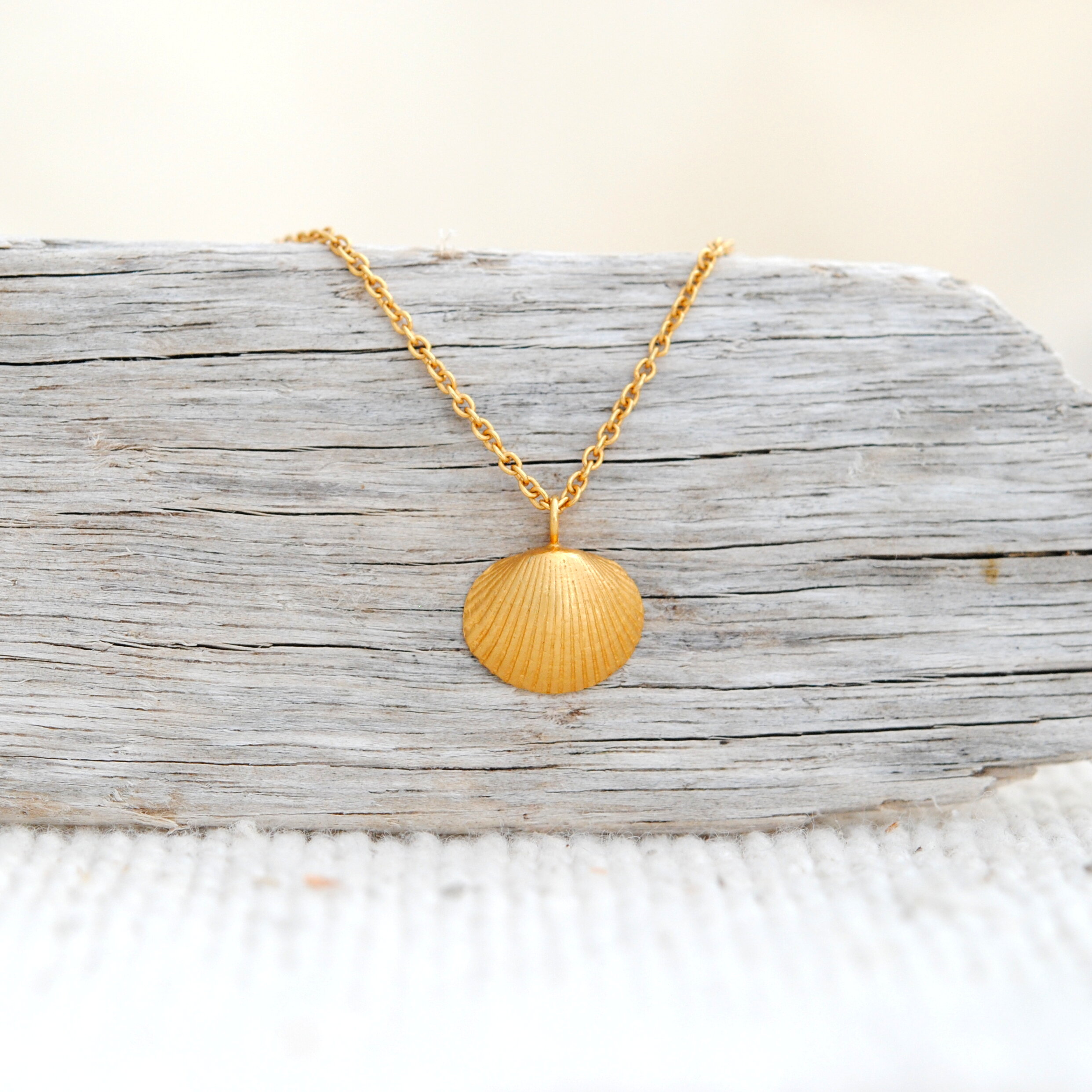 Mini seashell necklace in gold