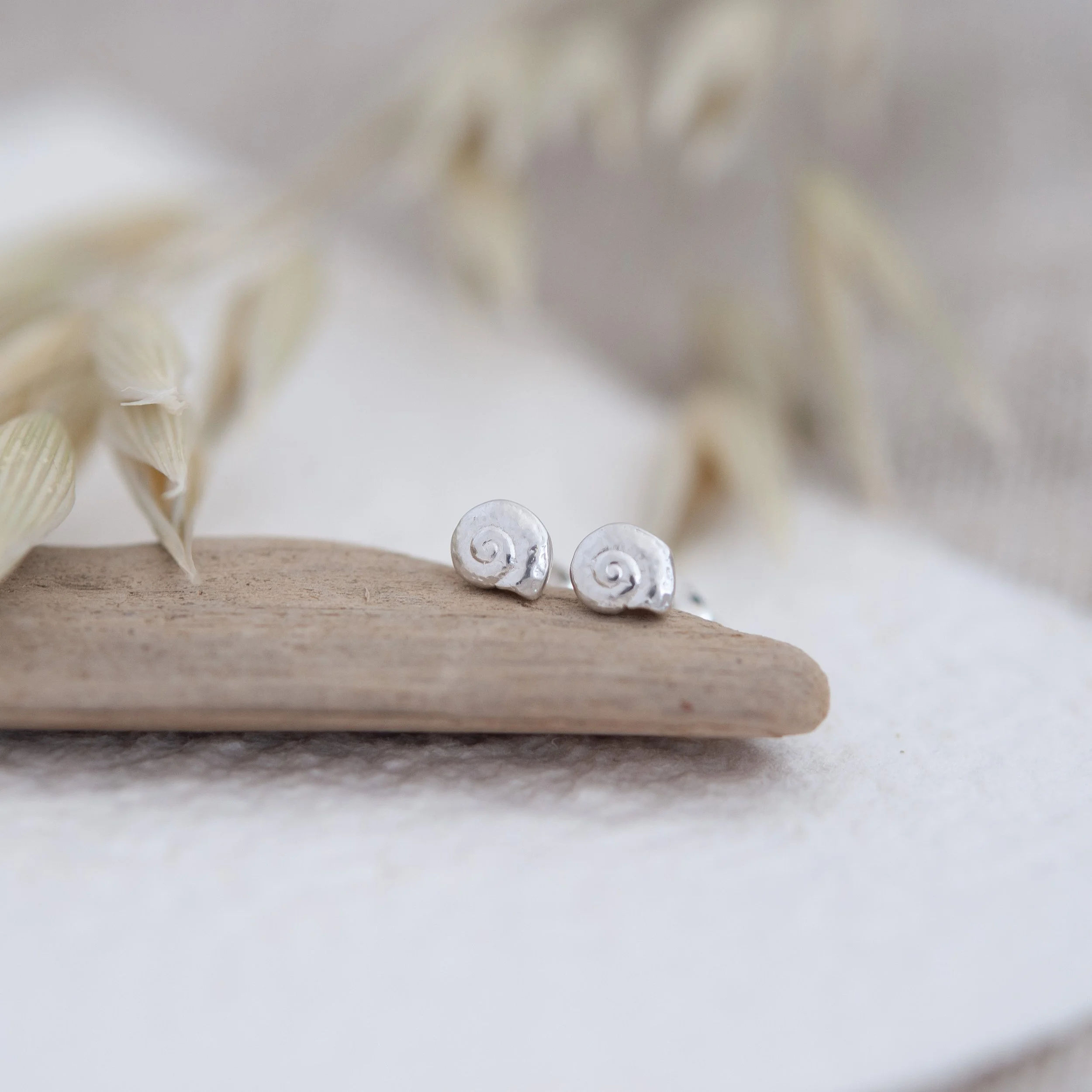 Periwinkle Shell Earrings Midi in Silver