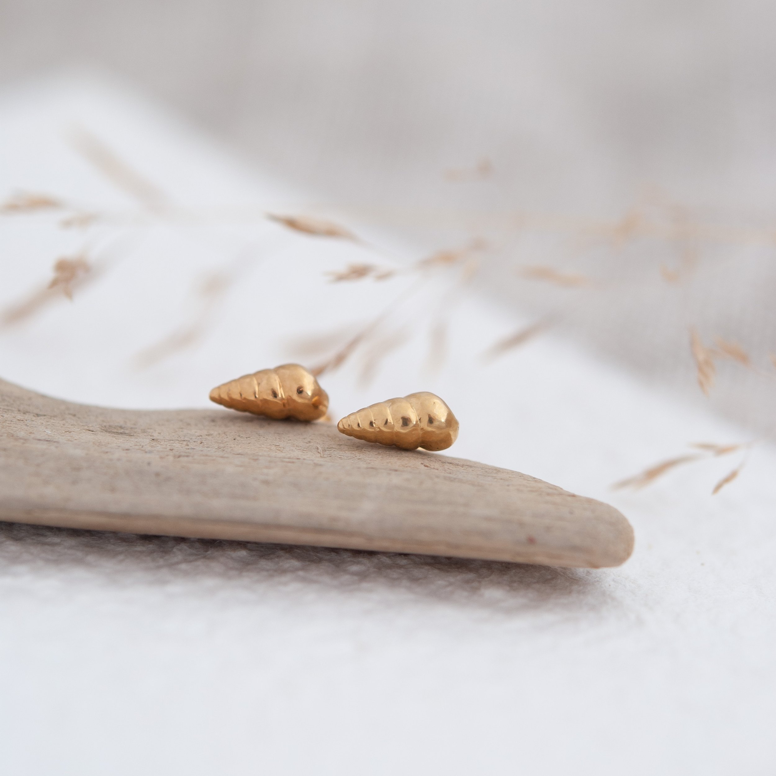 Whelk Shell Earrings Mini in Gold