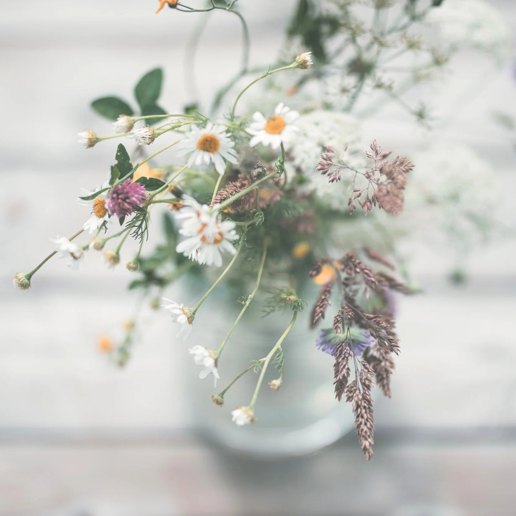 Summer Solstice Celebrations: Ways to Welcome the Season in Nature