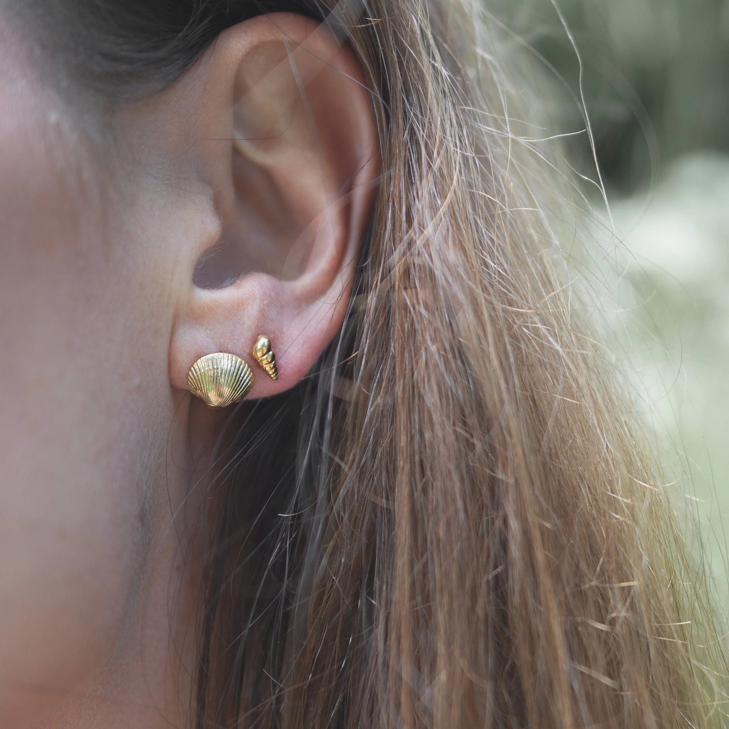 Recycled gold cockle shell &amp; whelk shell earring's