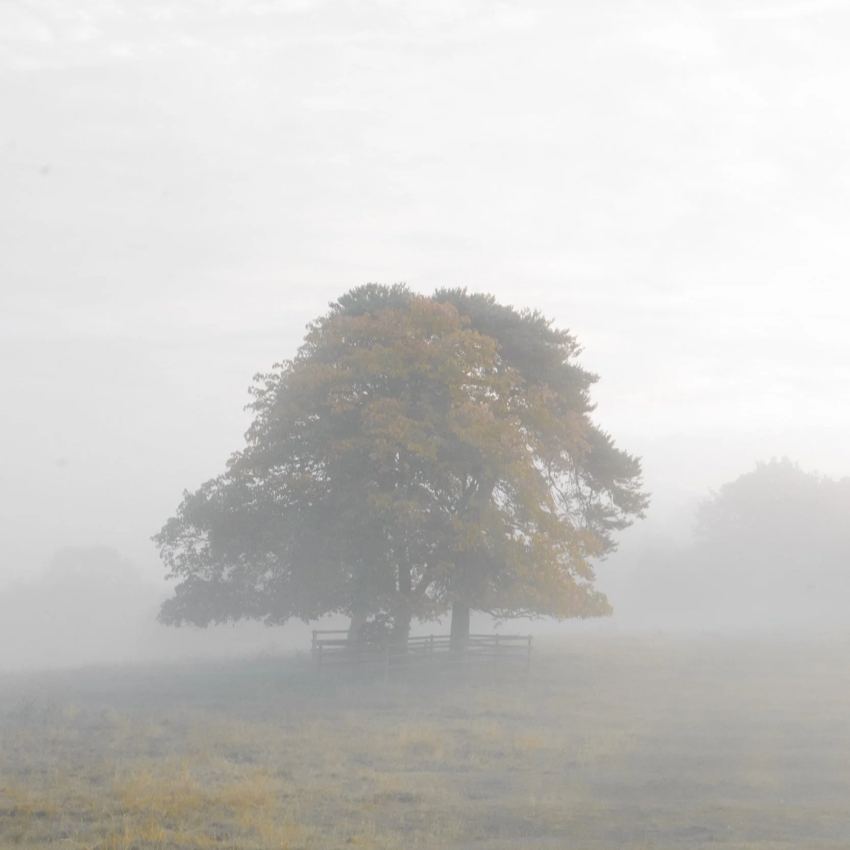 5 Ways to Celebrate Autumn 