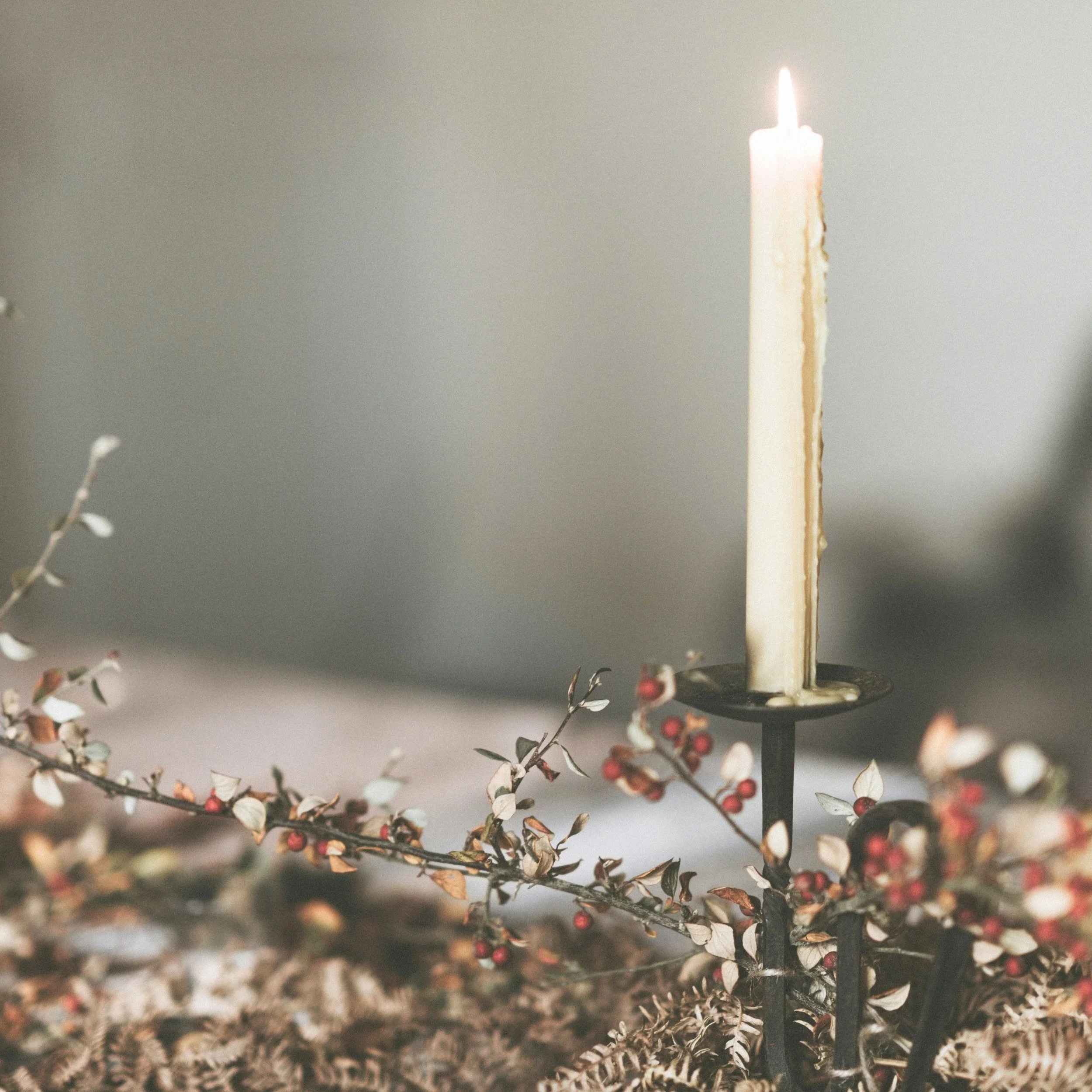 A Seasonal Christmas: 5 Tips for Nature-Inspired Christmas Celebrations