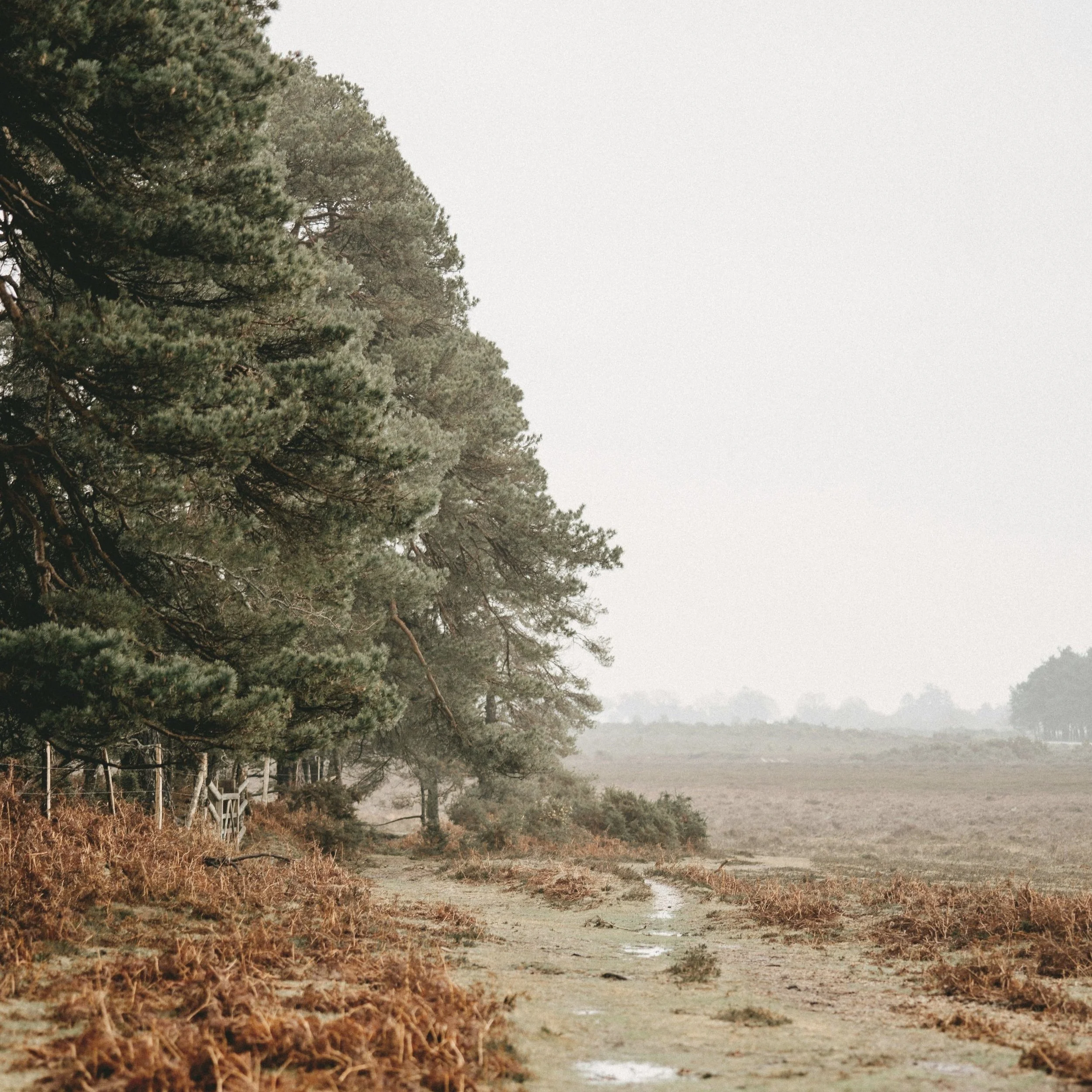 What Is Living Seasonally?