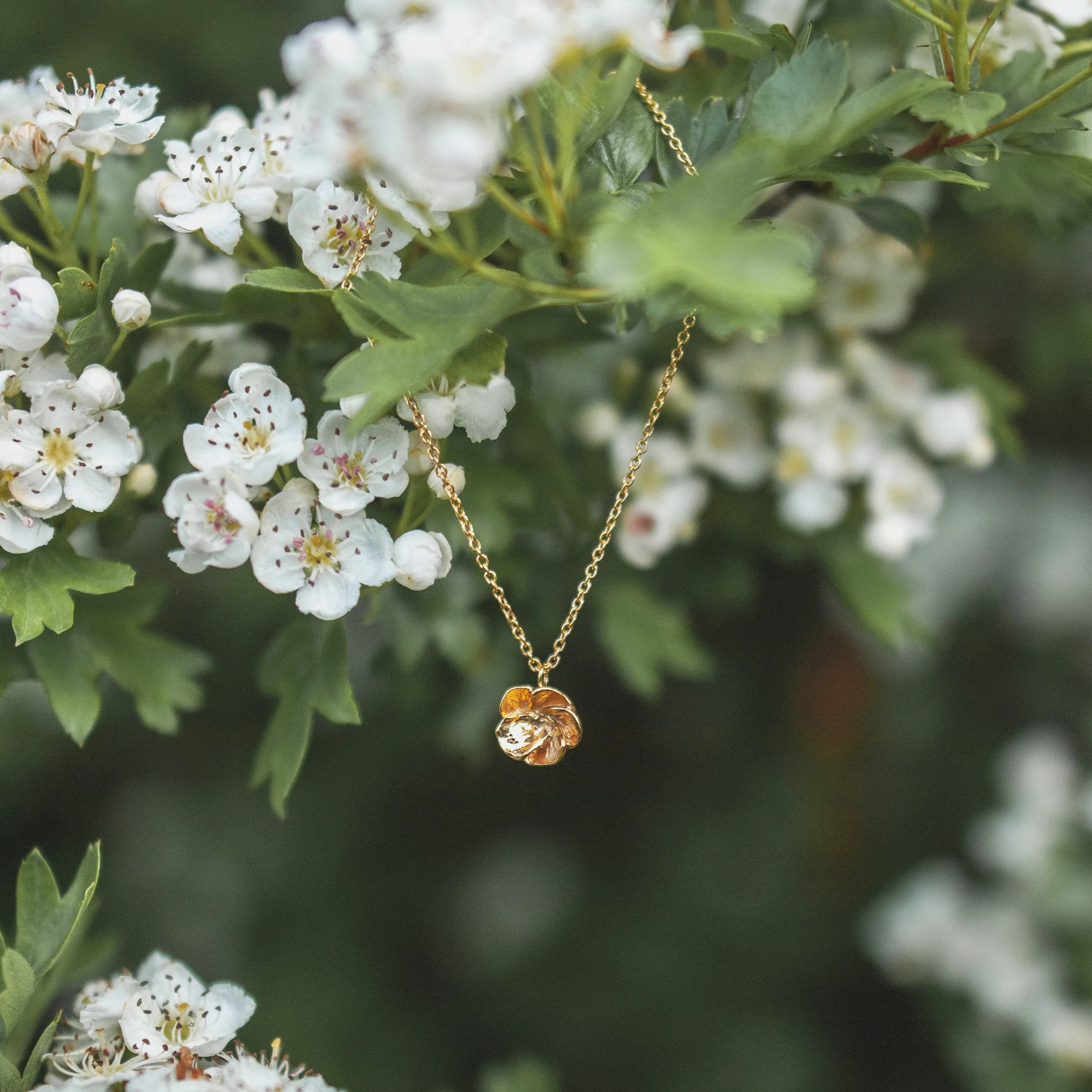 hawthorn necklace gold square.JPG