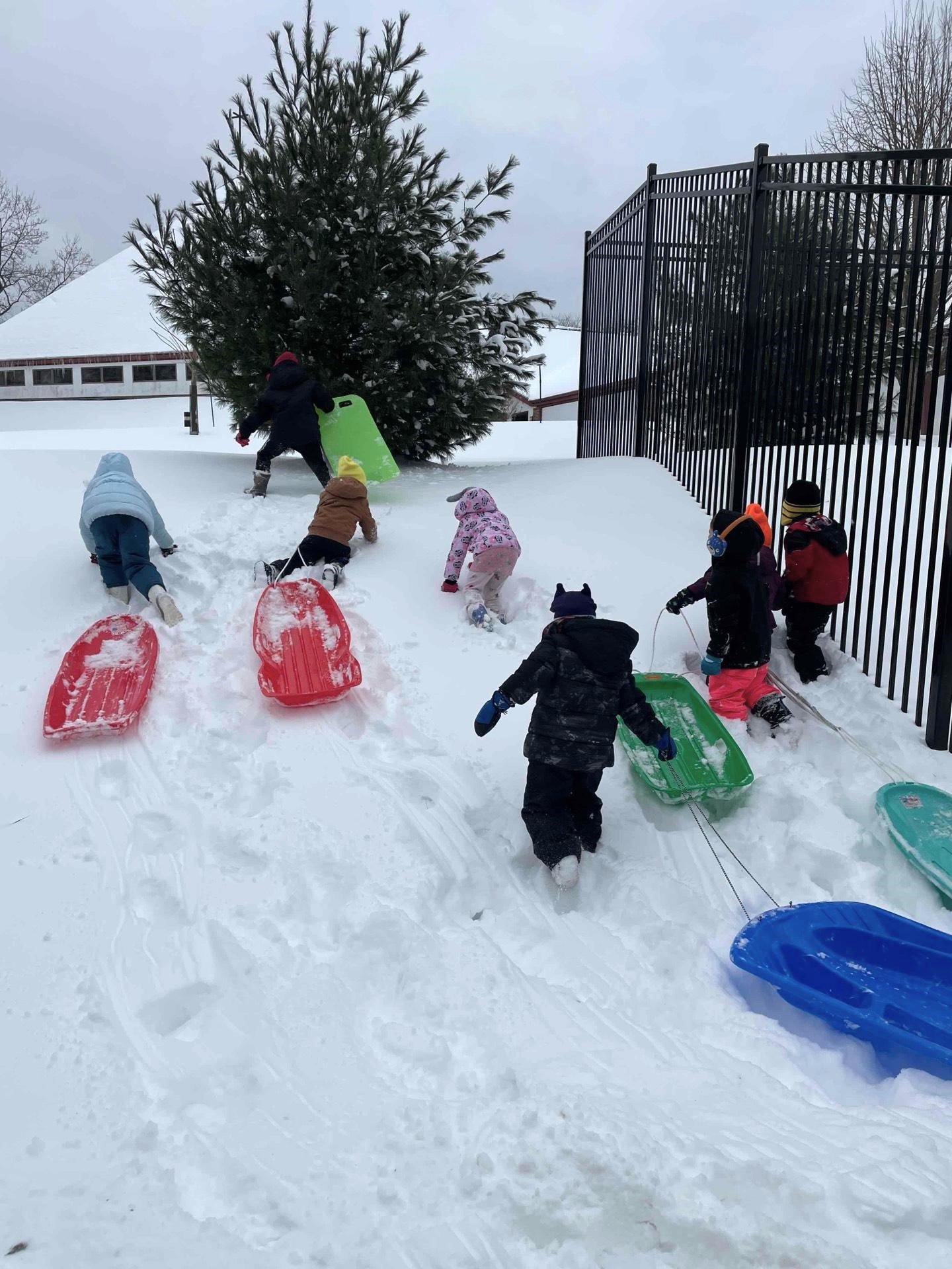 sledding.jpg