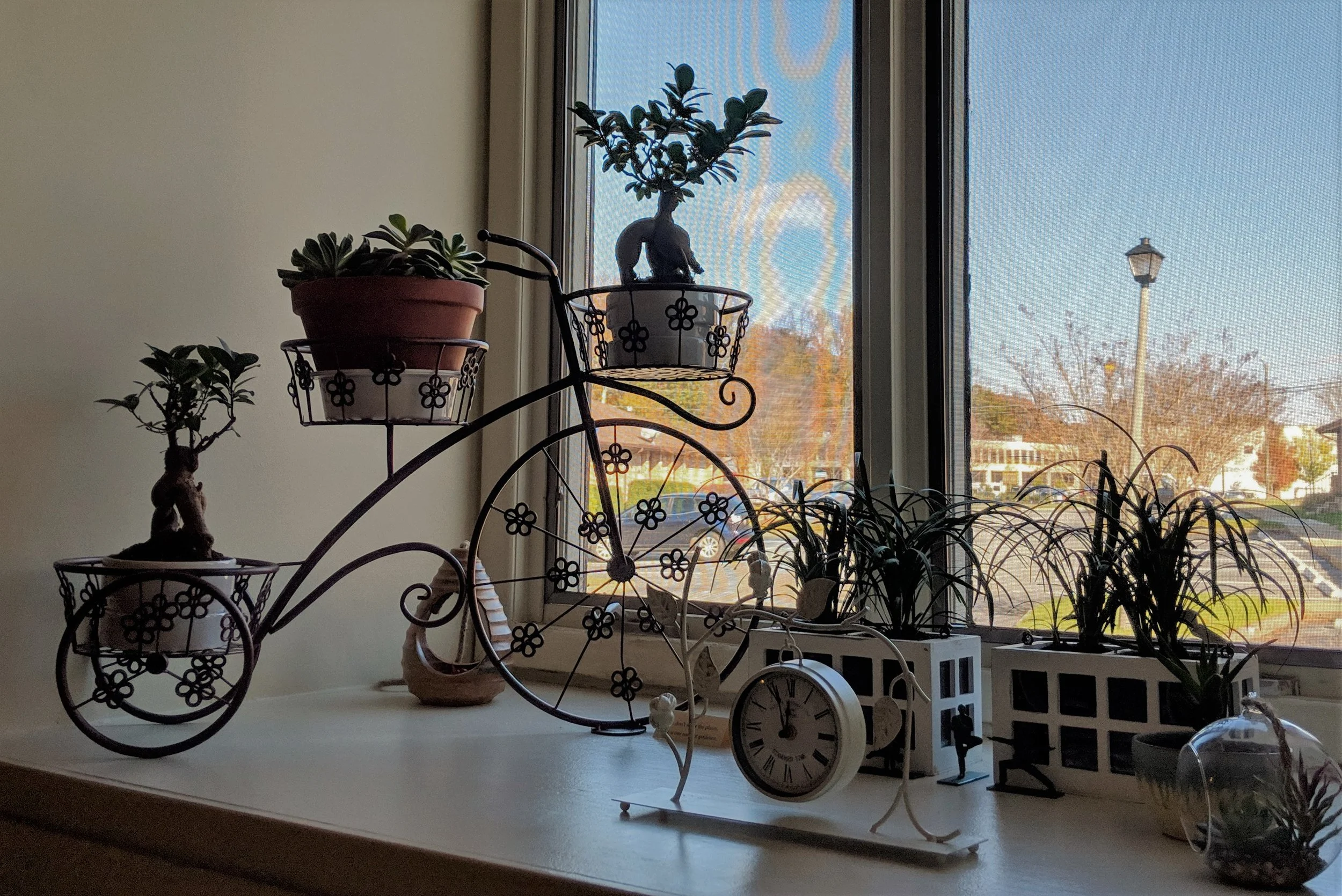 Our "Greenhouse"