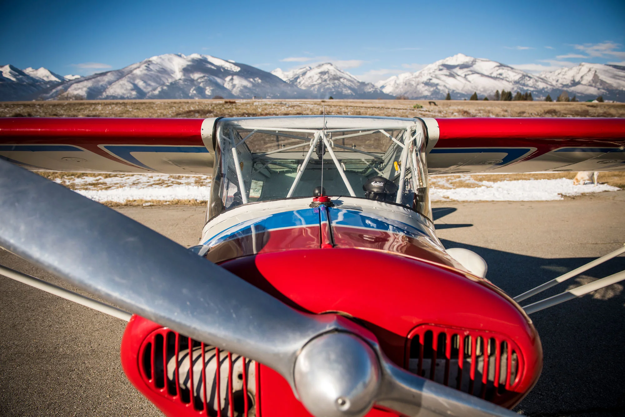 plane_1-1_WEB.jpg