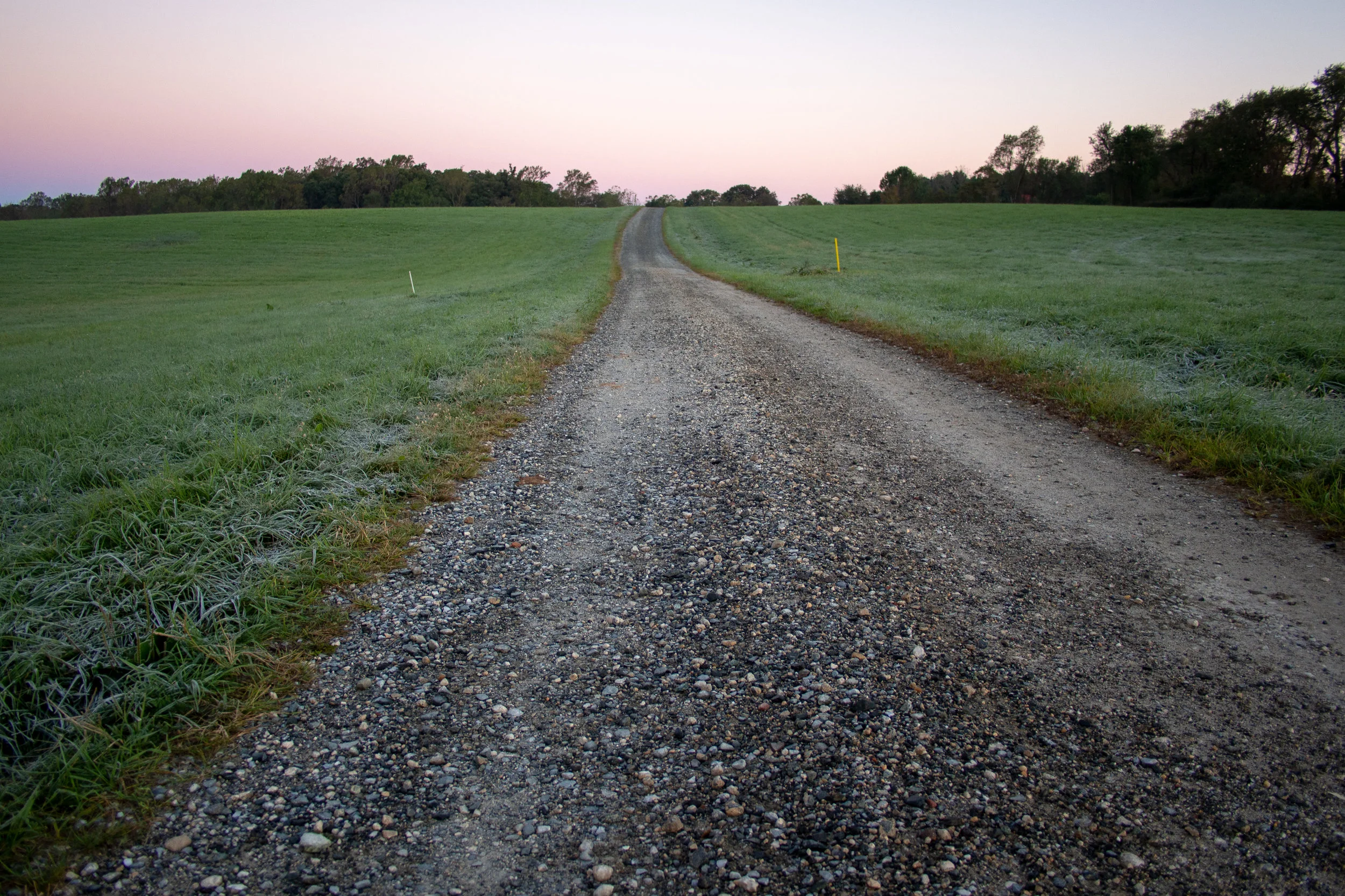 PA190006.jpg
