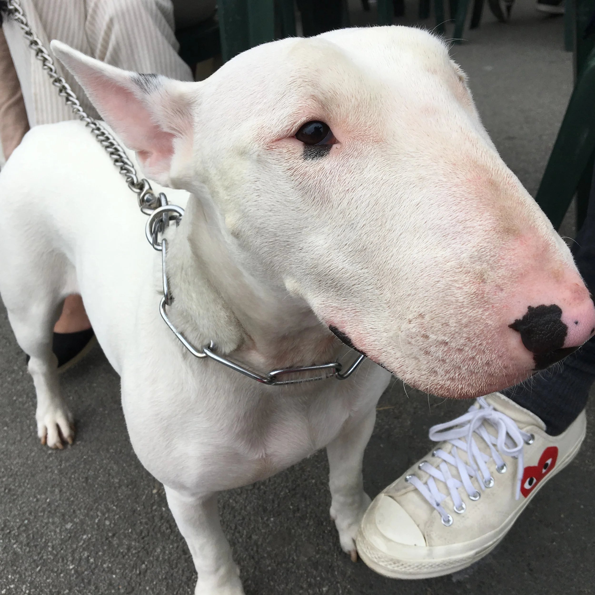 A Different Kind Of Year Sally Mara Sturman