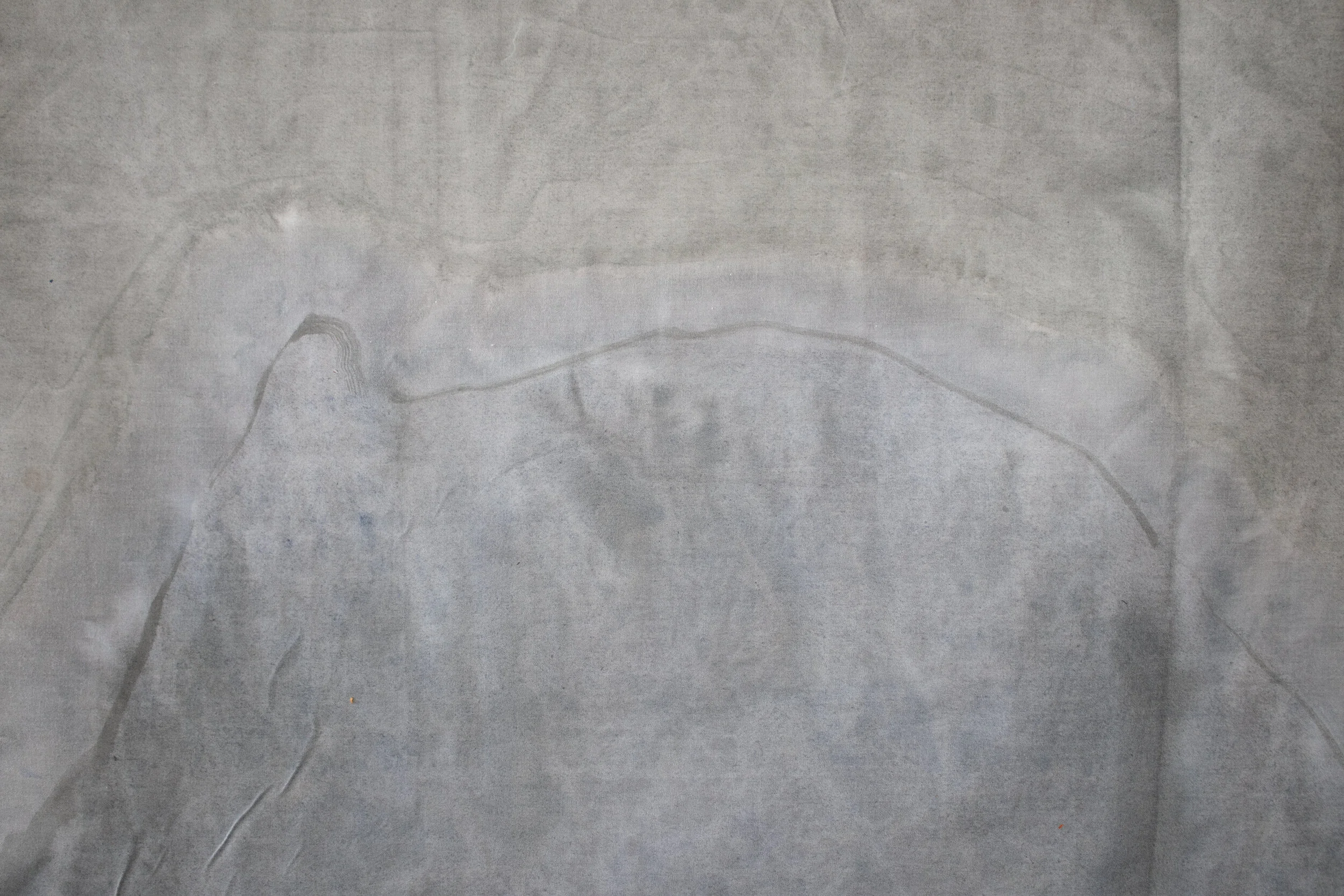 Am Torc Ar Gail/I Am A Strong Wild Boar , 2019, Acrylic, dye, muslin, rope, wood, 120” X 96” X 6”, detail