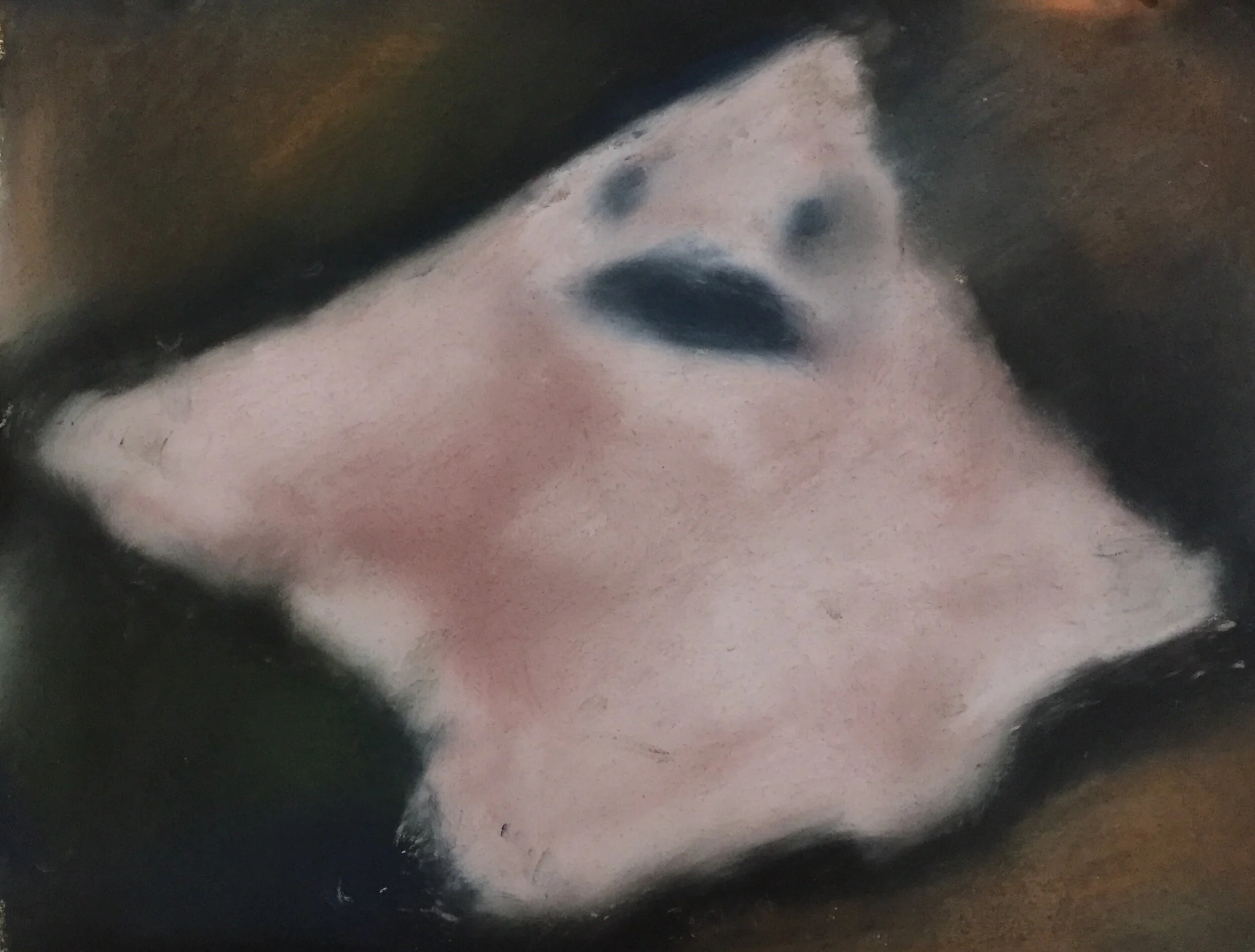  Ray I, 2020, pastel on paper, 9” X 12” 