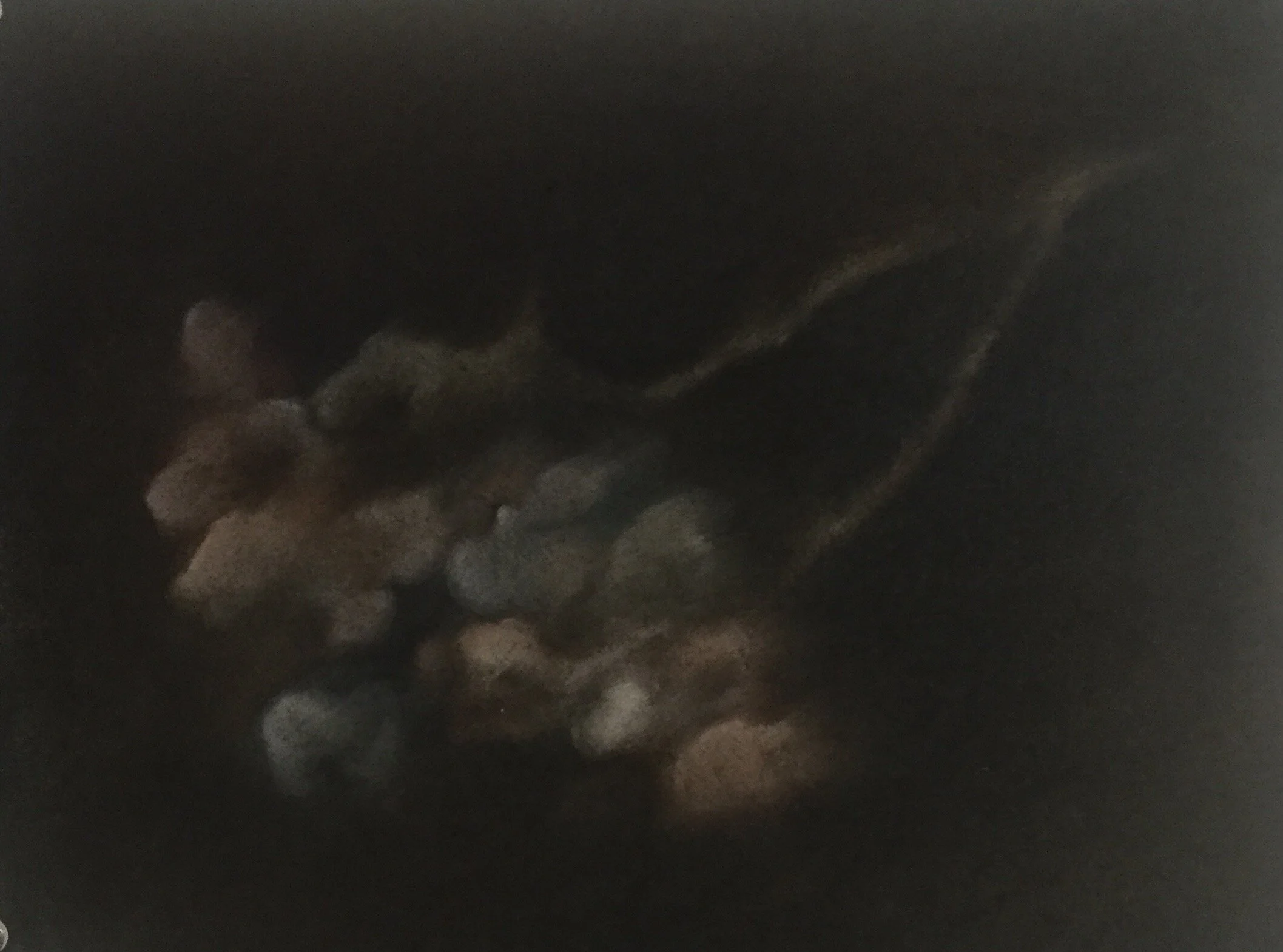  Flower, 2020, pastel on paper, 9” X 12” 