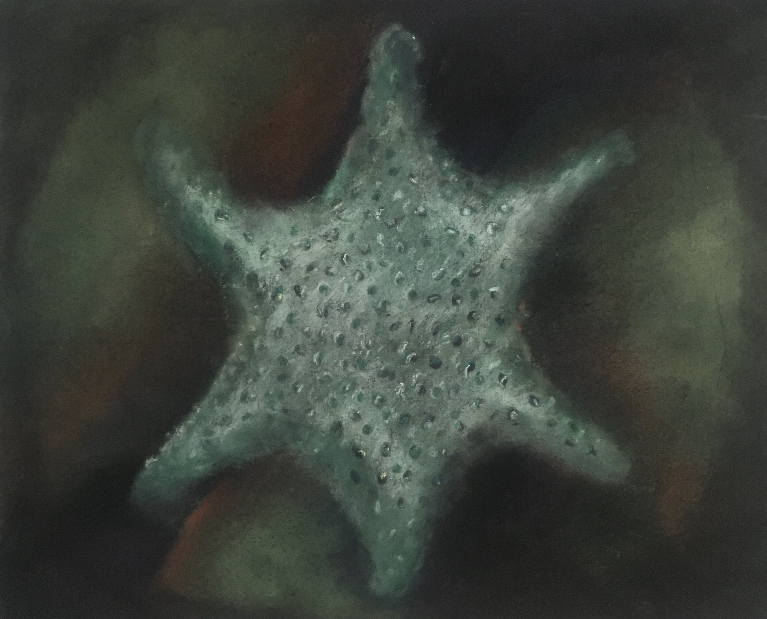  Magnified Grain of Sand II, 2020, pastel on paper, 13” X 16” 