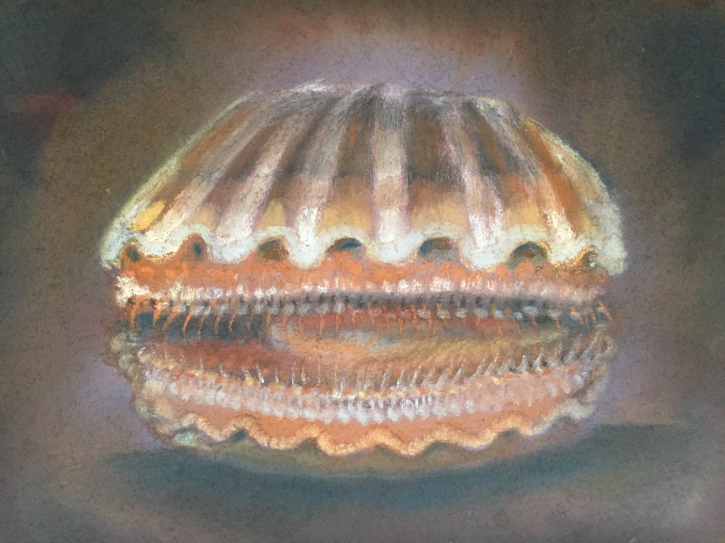  Clam I, 2020, pastel on paper, 9” X 12” 