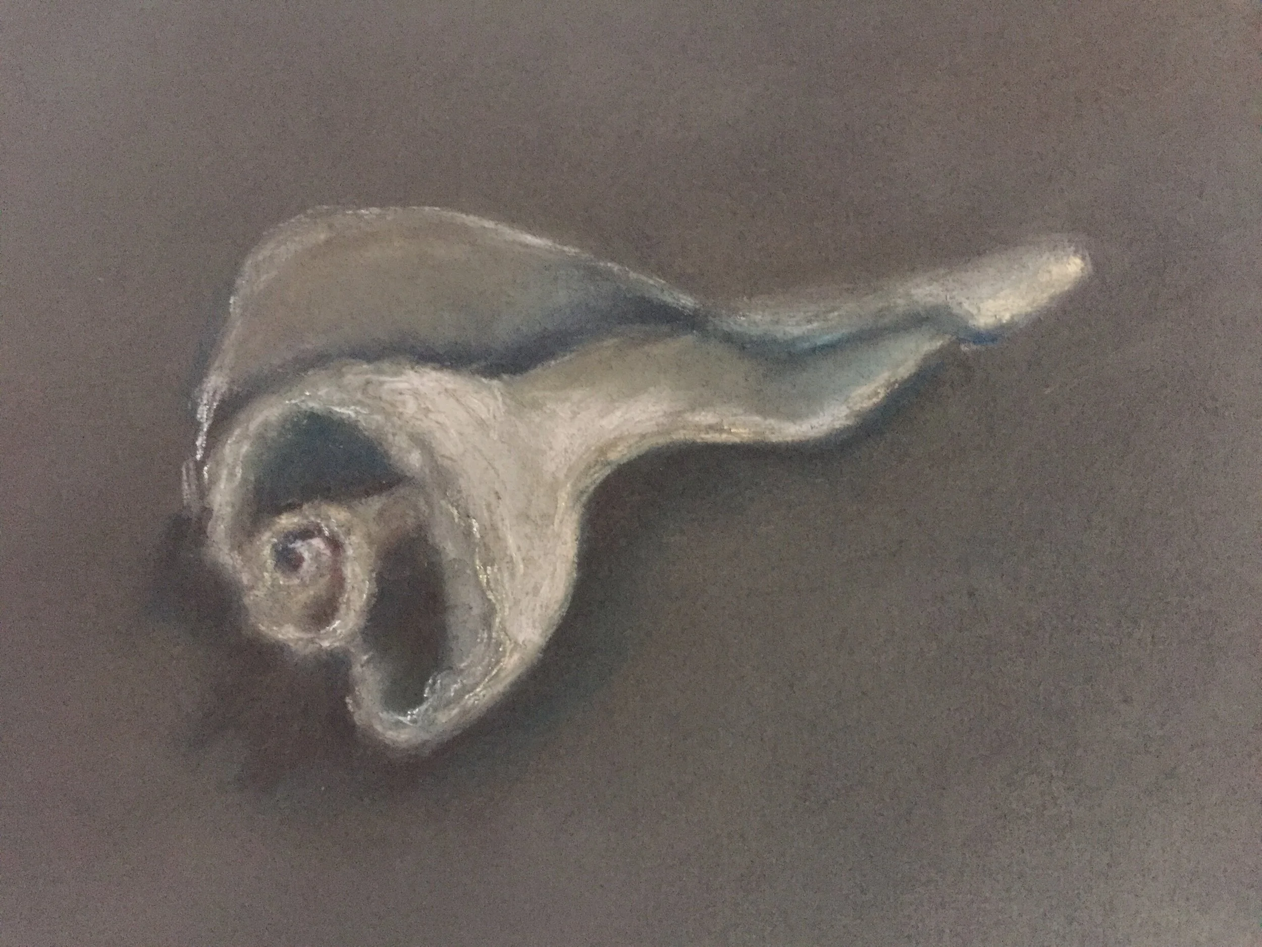  Shell X, 2020, pastel on paper, 9” X 12” 