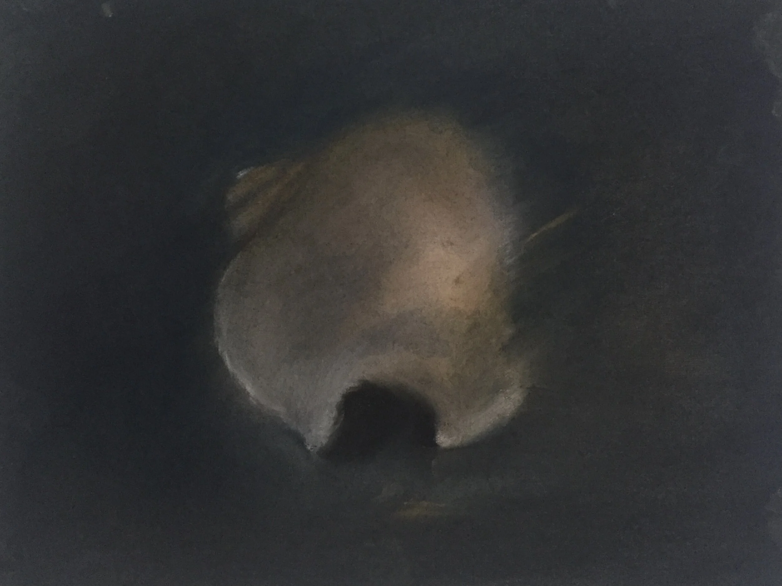  Shell VI, 2020, pastel on paper, 9” X 12” 