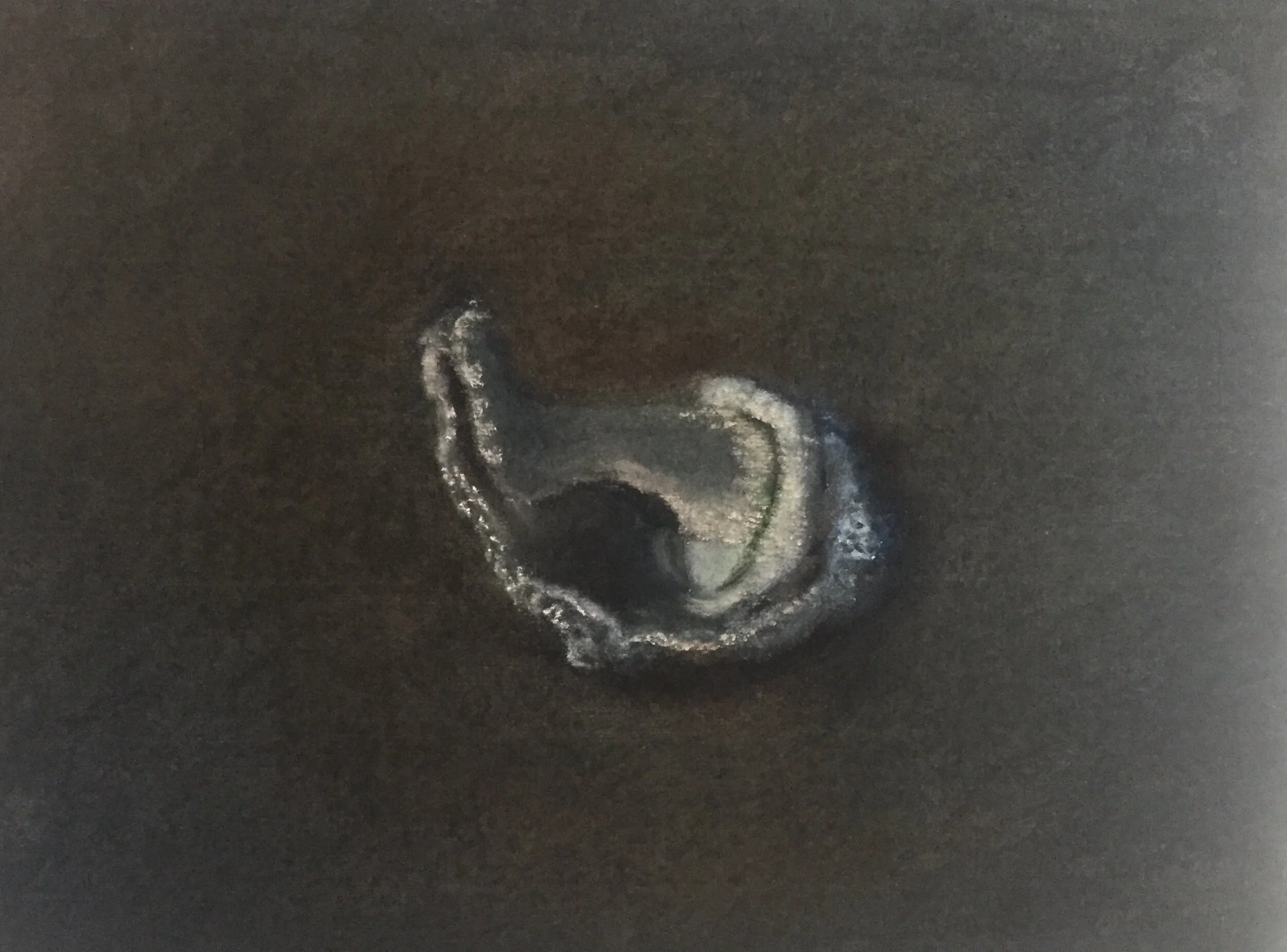  Shell V, 2020, pastel on paper, 9” X 12” 