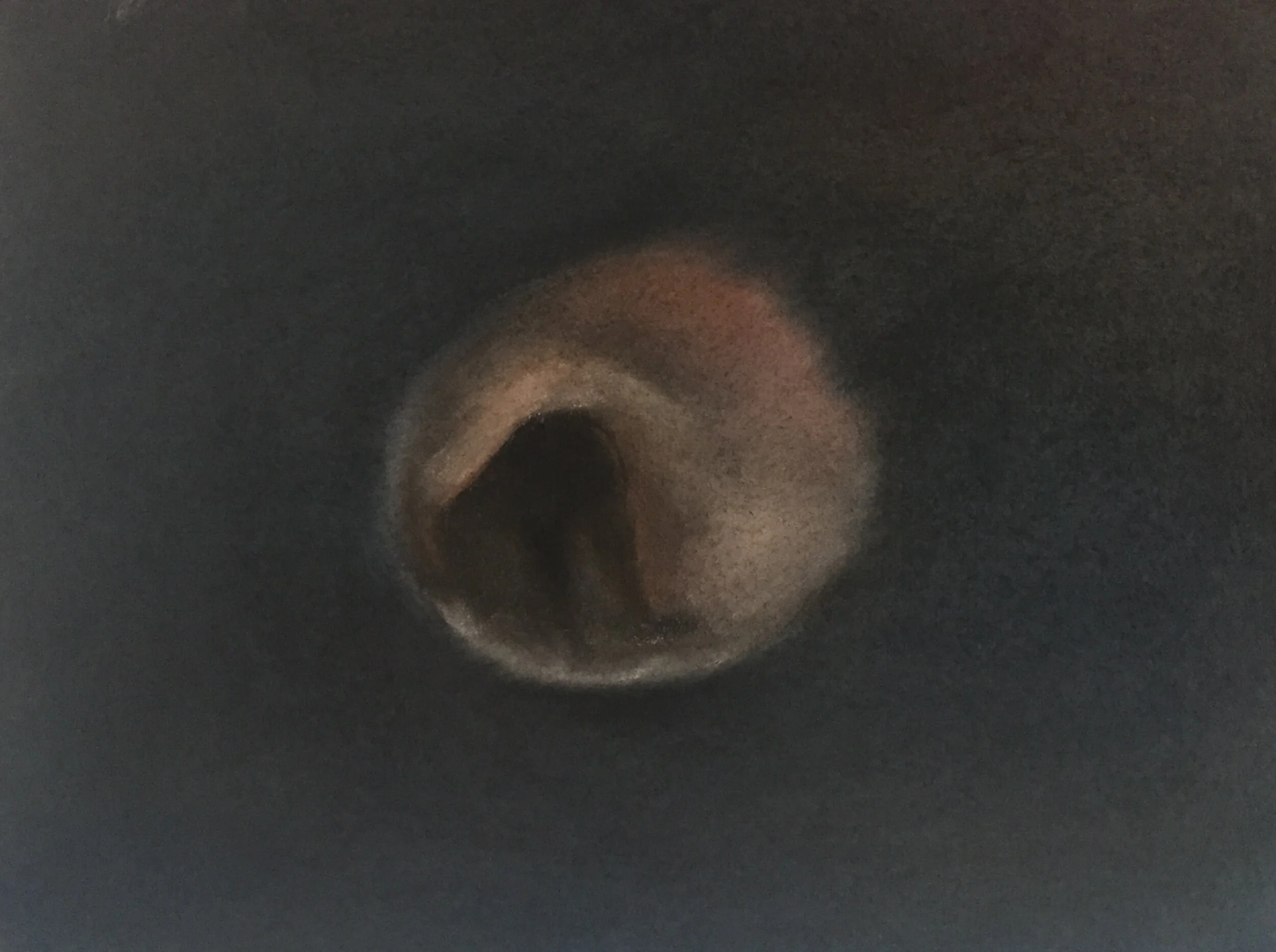  Shell IX, 2020, pastel on paper, 9” X 12” 