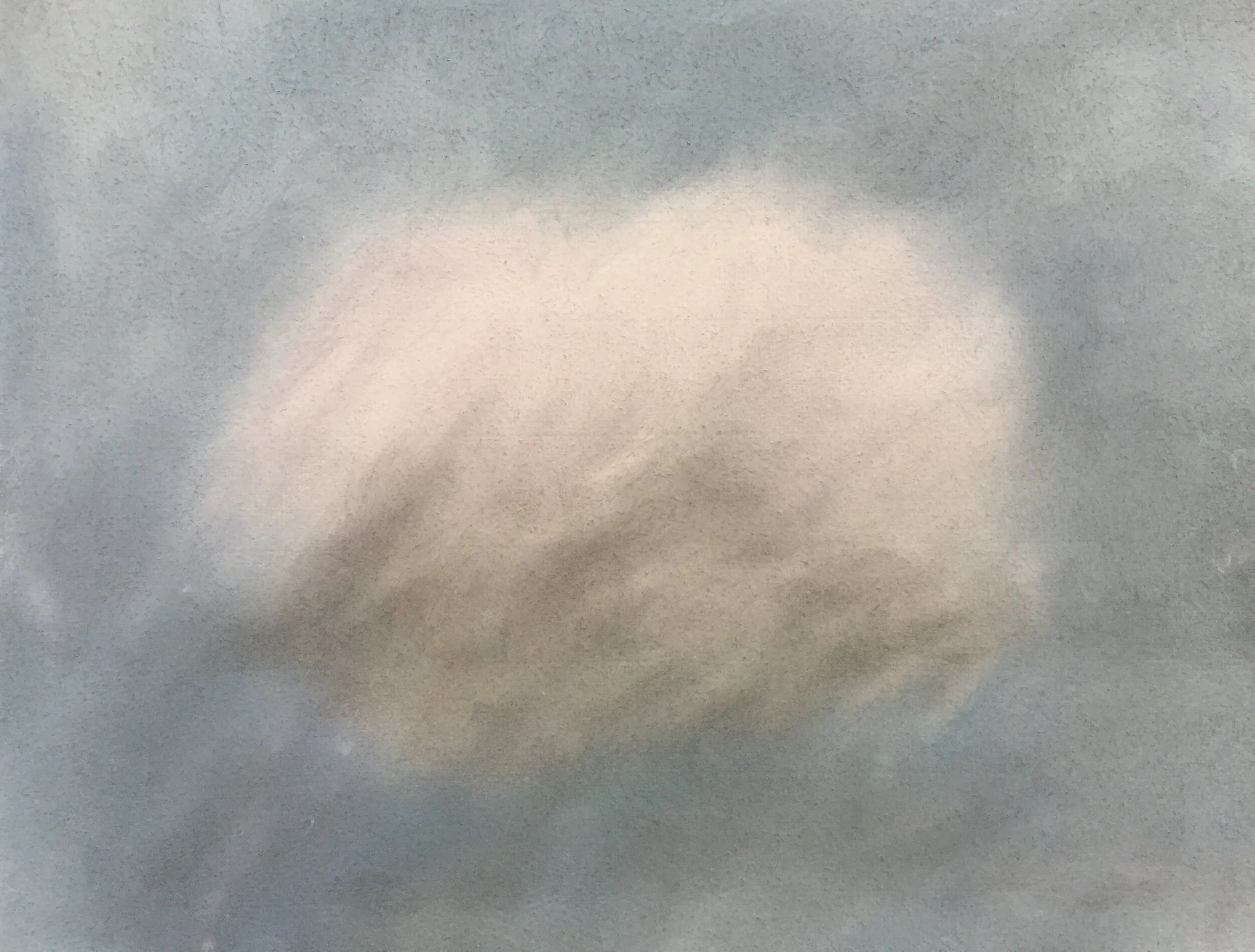  Shell IV, 2020, pastel on paper, 13” X 16” 