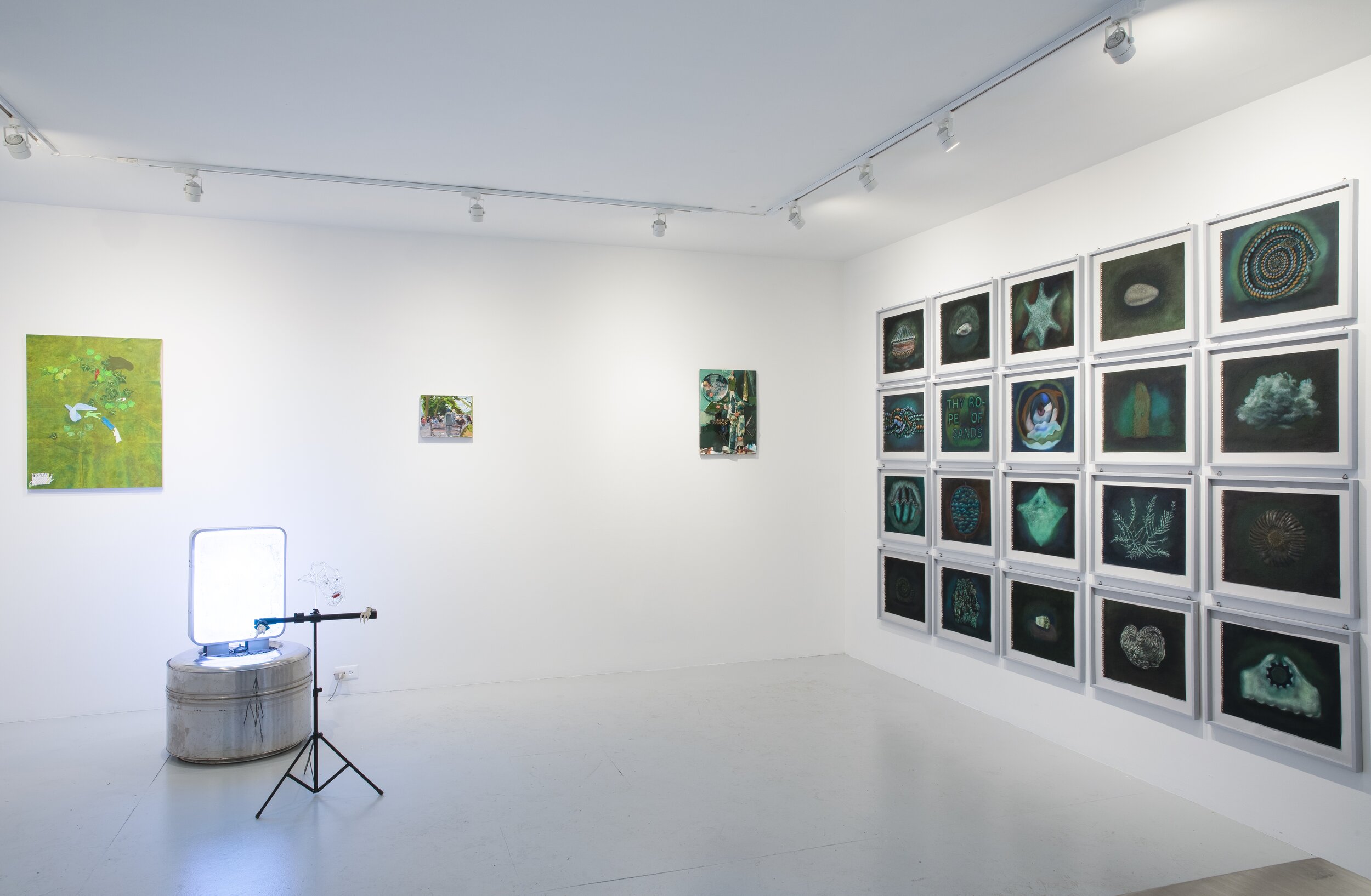  “Every Image is a Semblance of Rescue,” 2020, Pastel, paper, painted wooden frames, 17” X 20” (each frame), Installation view 