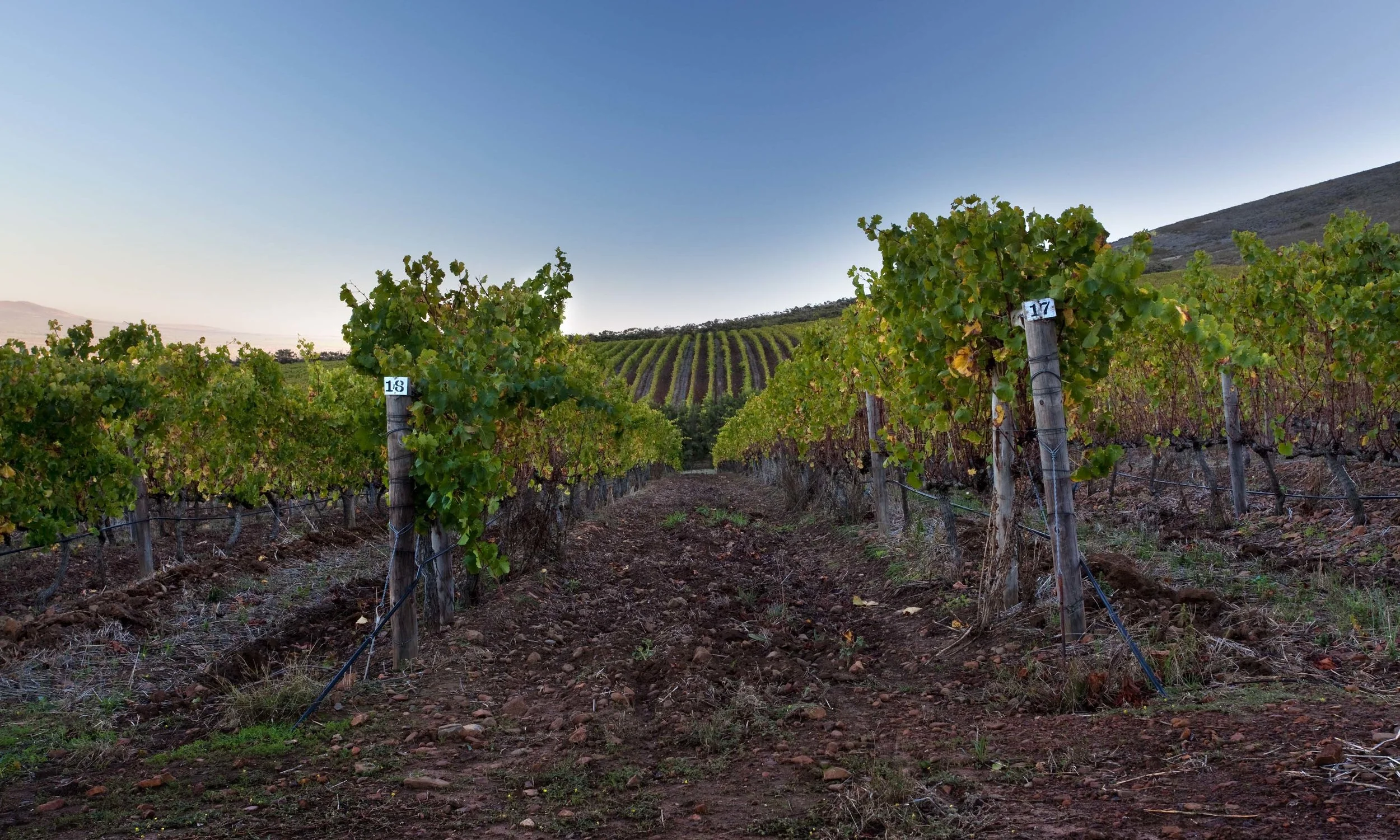 De Grendel_017.jpg