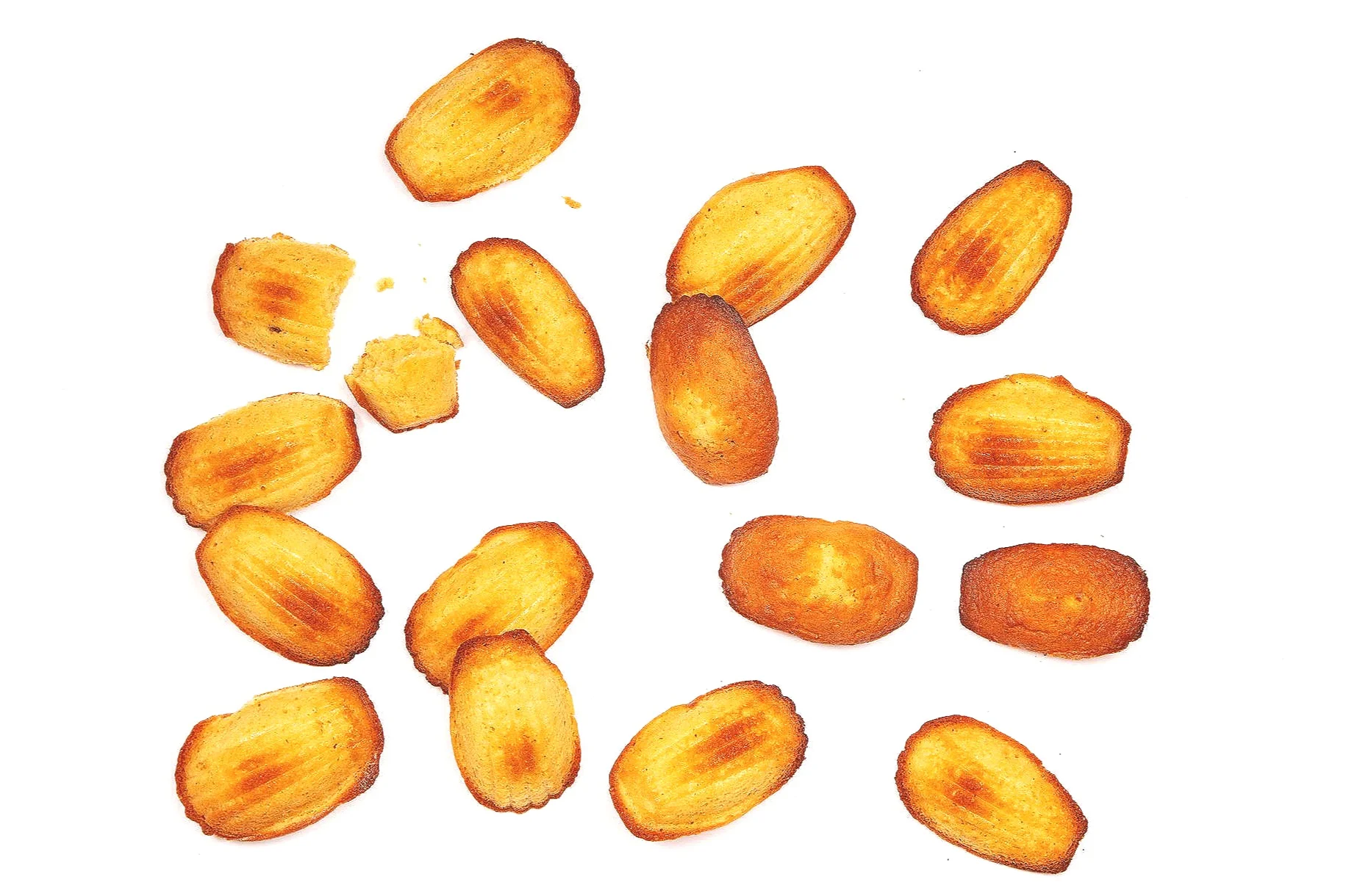 Madeleines003.jpg