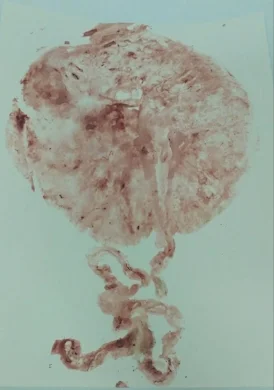 Example of a traditional blood print, $15