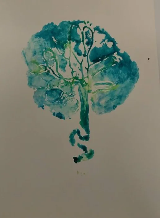 wsplacentaprint3.jpg