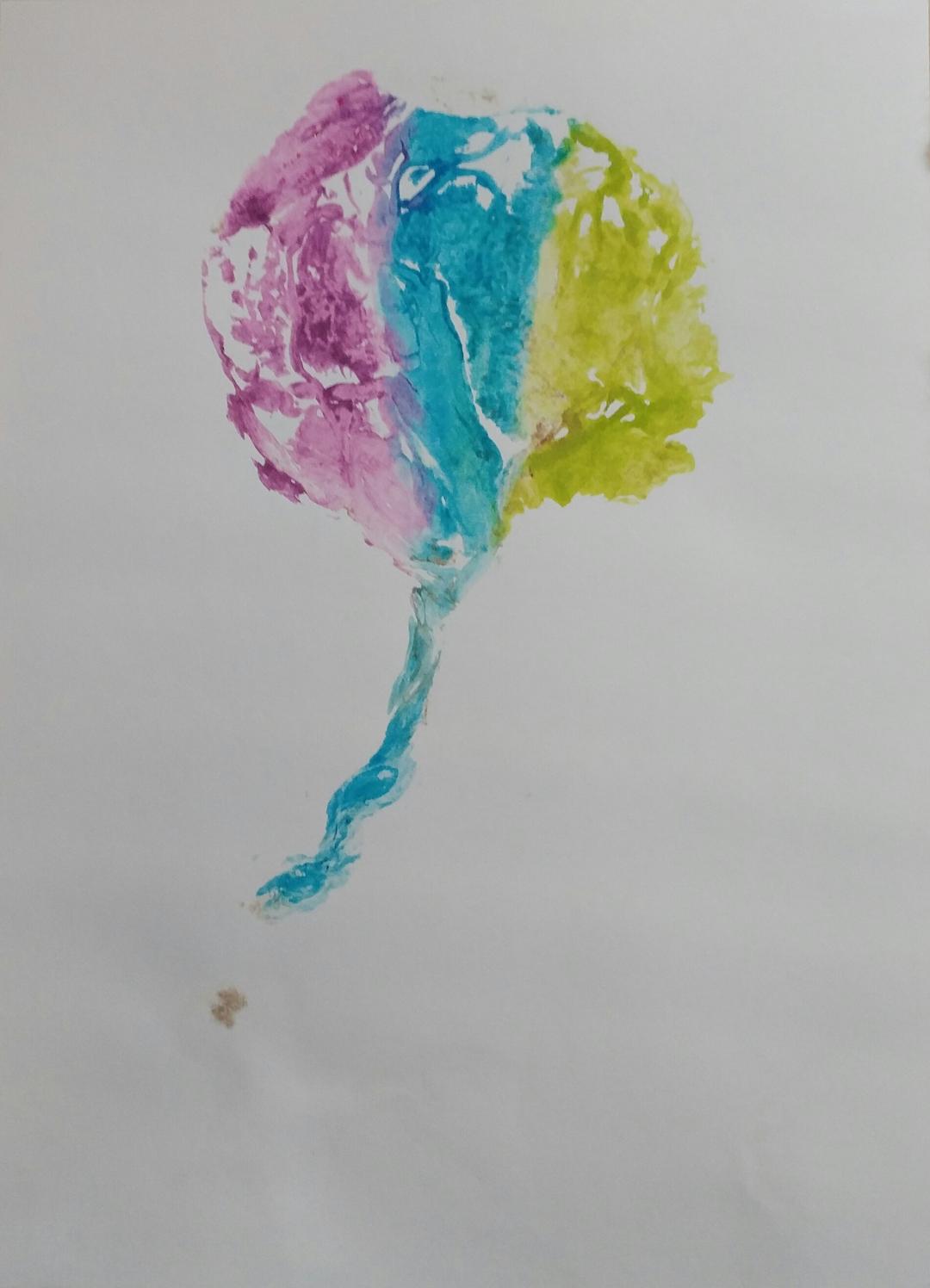 wsplacentaprint6.jpg