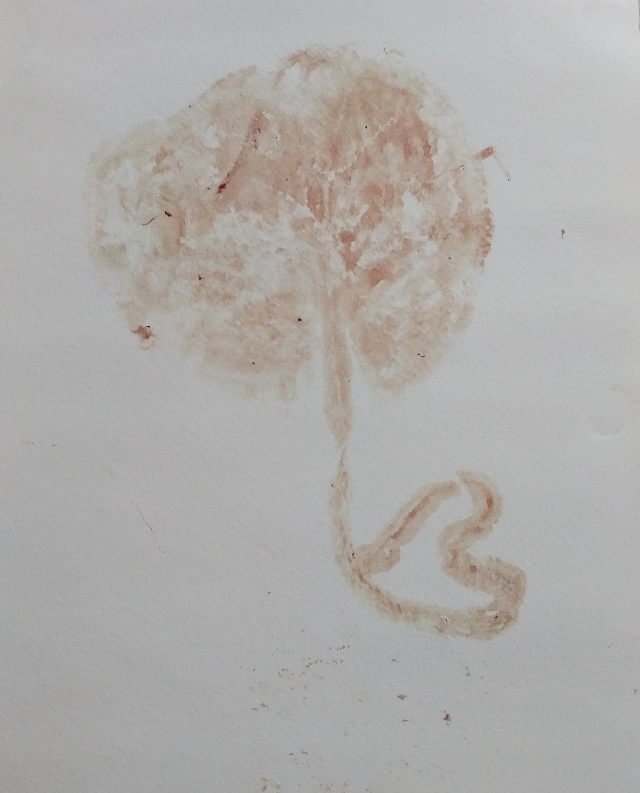 Blood Print with Heart Shaped Cord ($15)