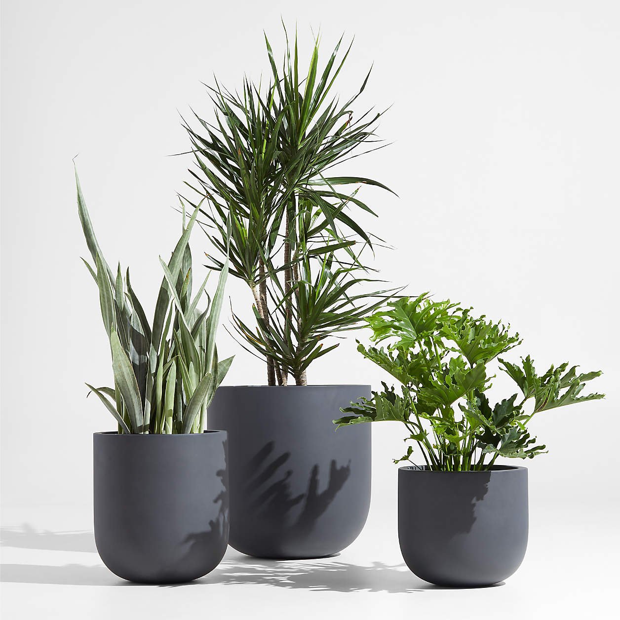junio-round-dark-grey-planters.jpeg
