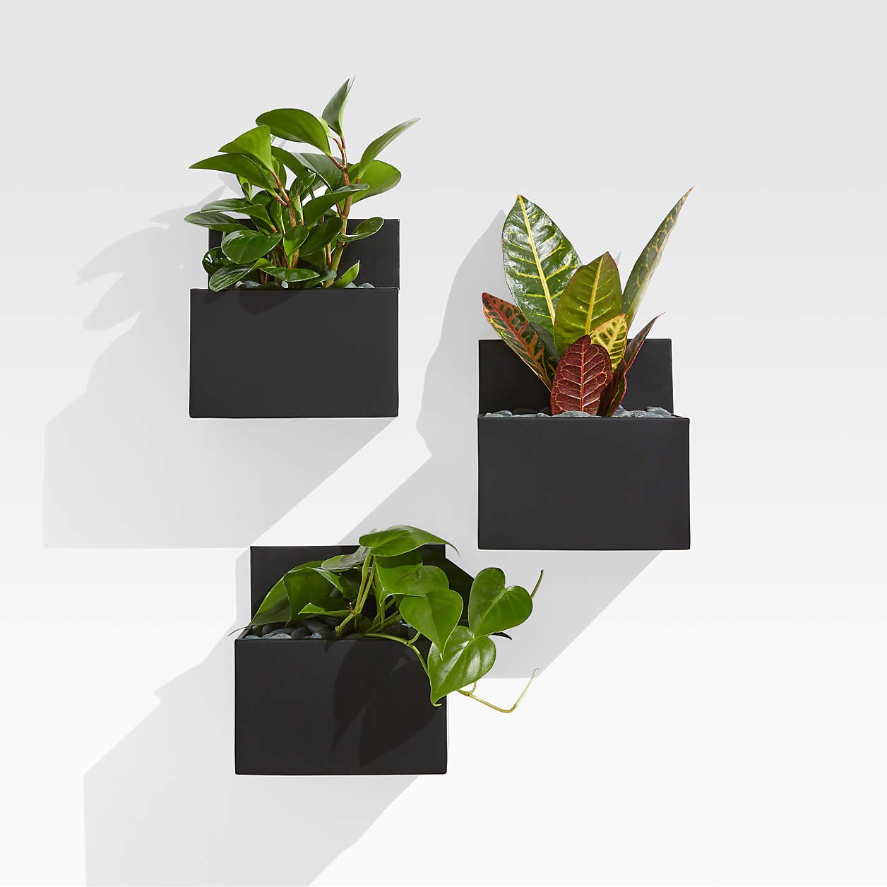 pocket-black-wall-planters-set-of-3.jpeg