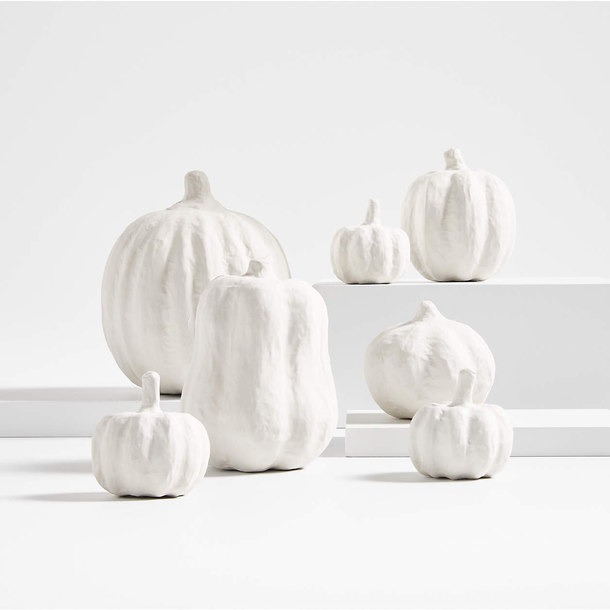 decorative-white-pumpkins-set1-of-7.jpeg