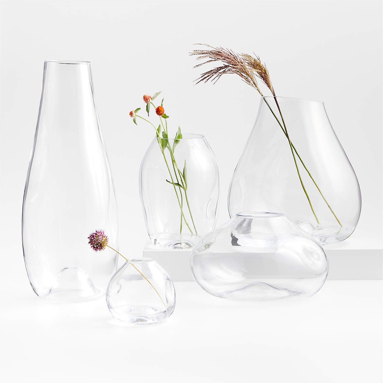 regen-clear-blown-glass-vases.jpg