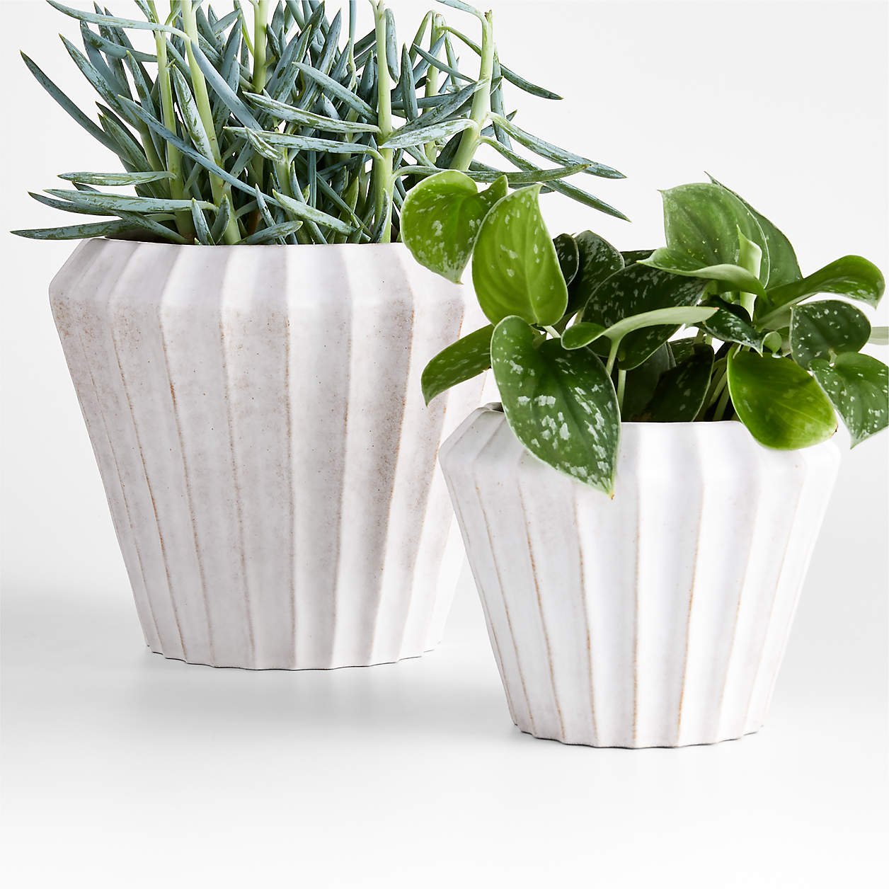 warren-white-ridge-ceramic-indoor-outdoor-planters.jpg