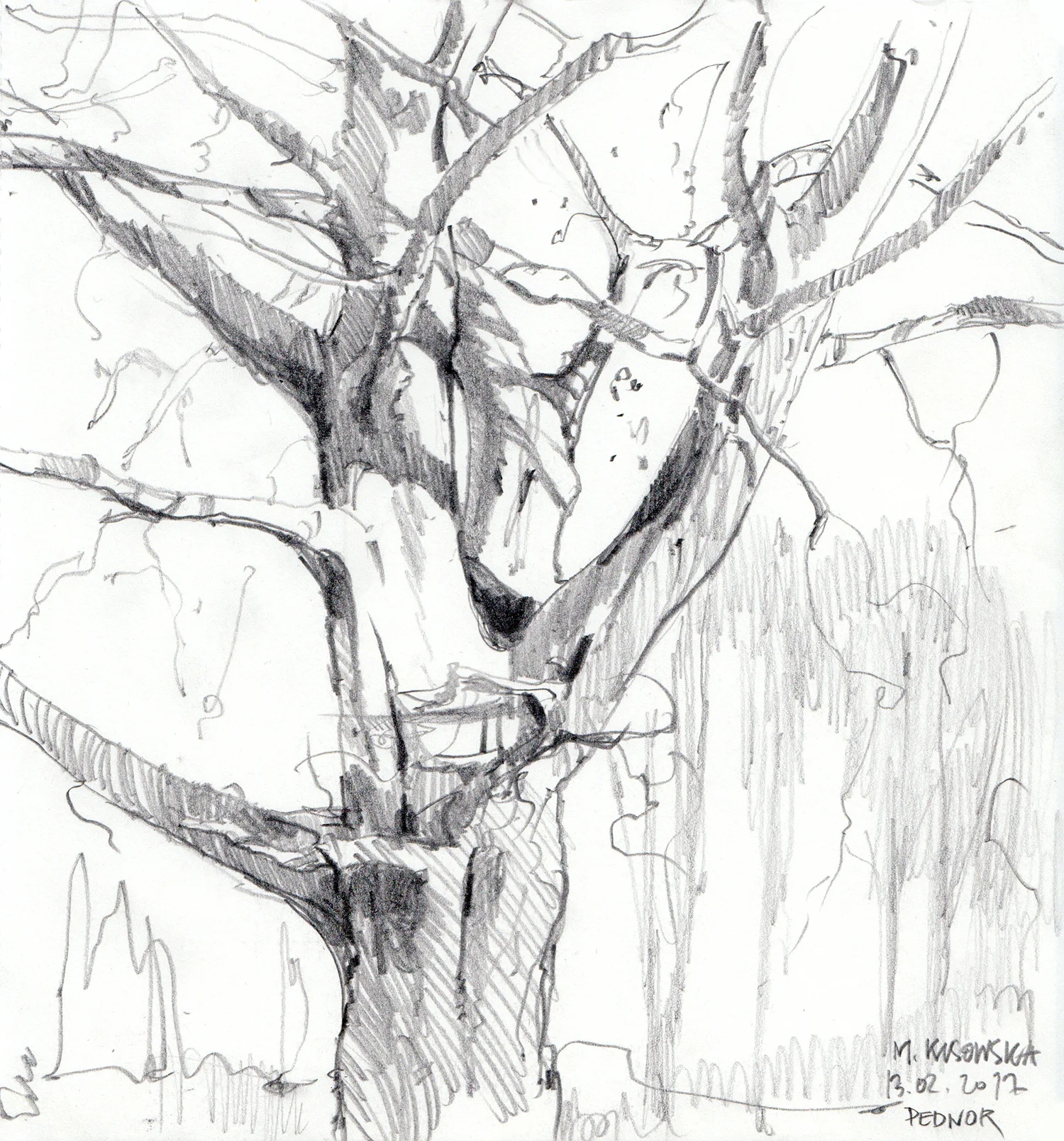 Magdalena_Kusowska_graphite_Chilterns_01.jpeg