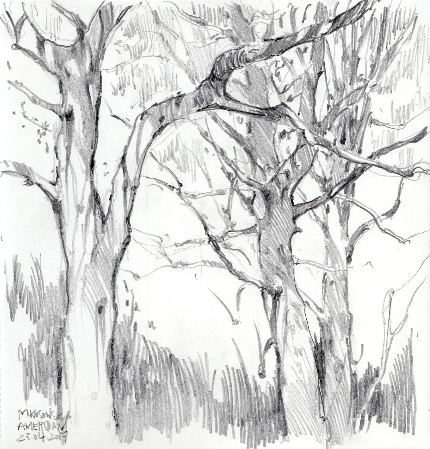 Magdalena_Kusowska_graphite_Chilterns_04.jpeg