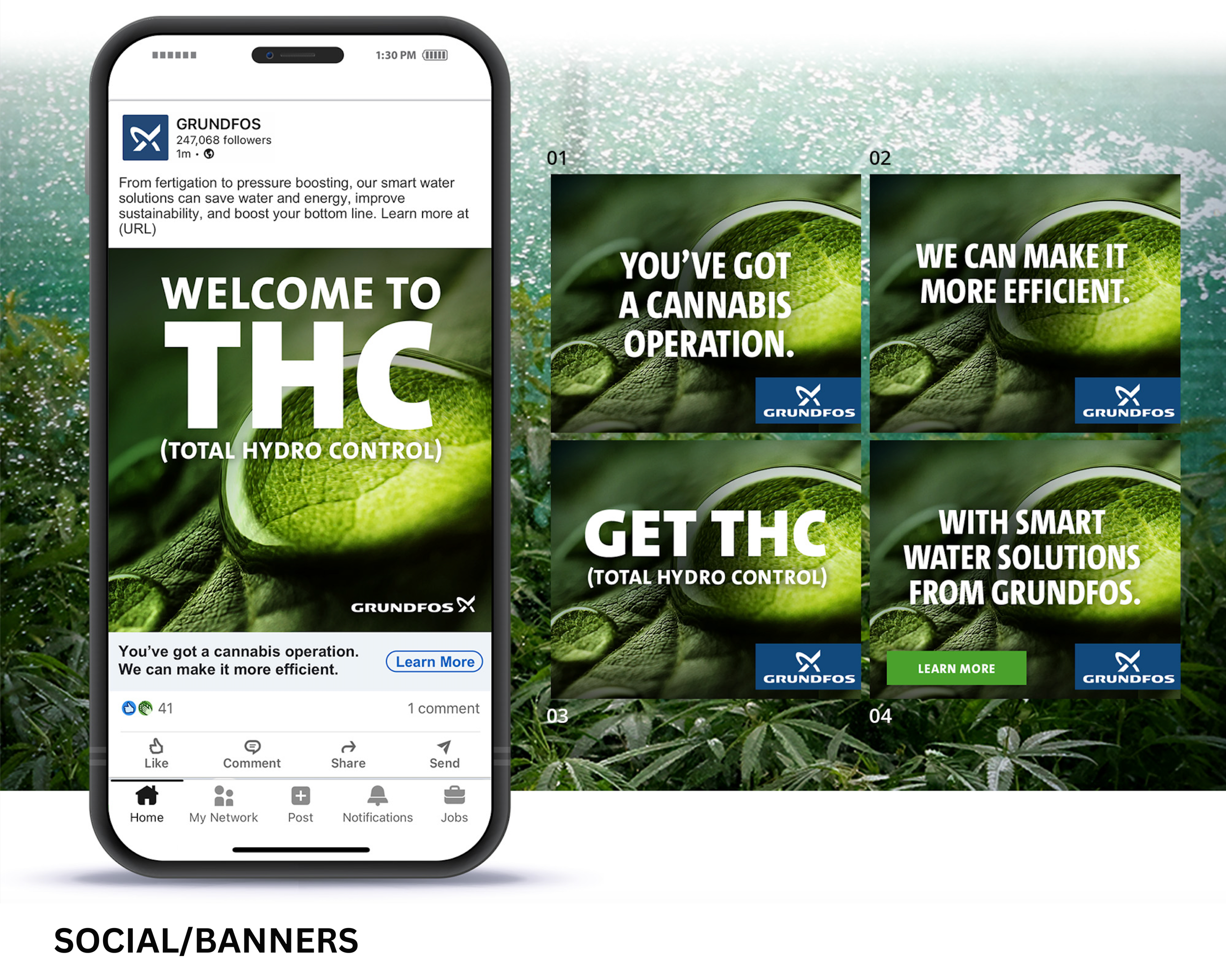 Cannabis Emails.png