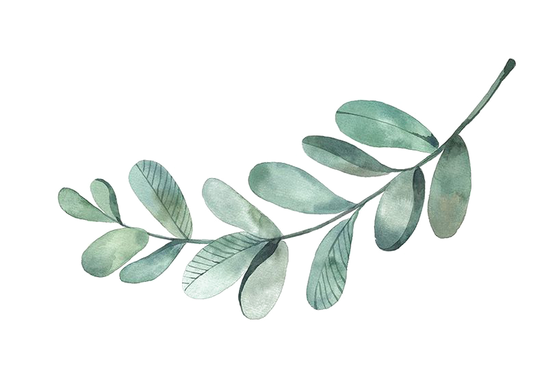 branch-drawing-water-colour.png