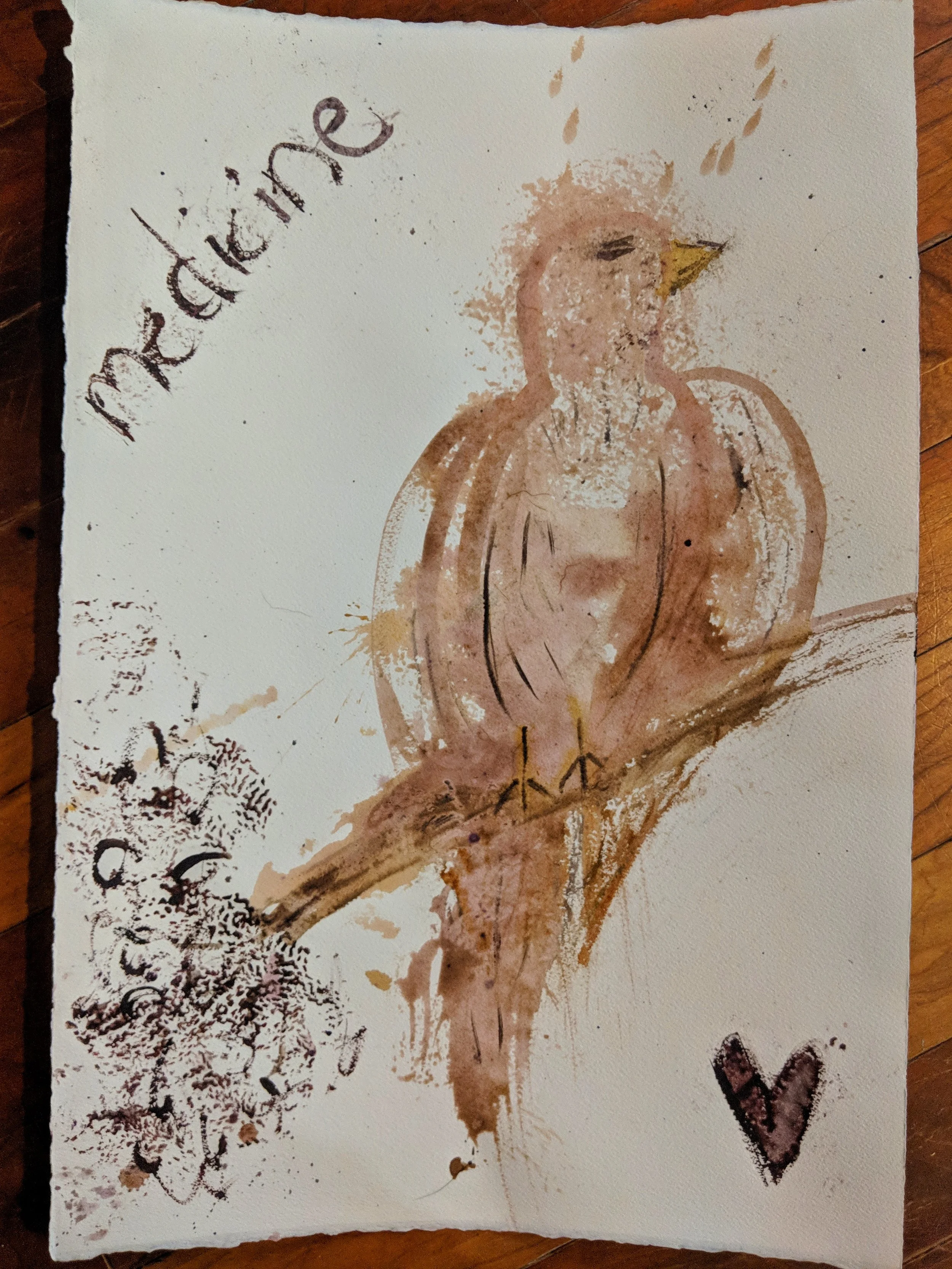 hawkmedicine.jpeg