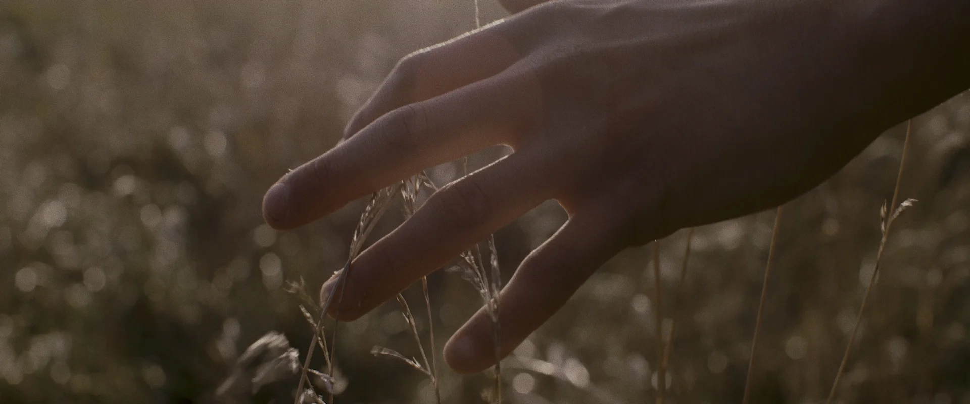 life-stories-still-frames_16.jpg