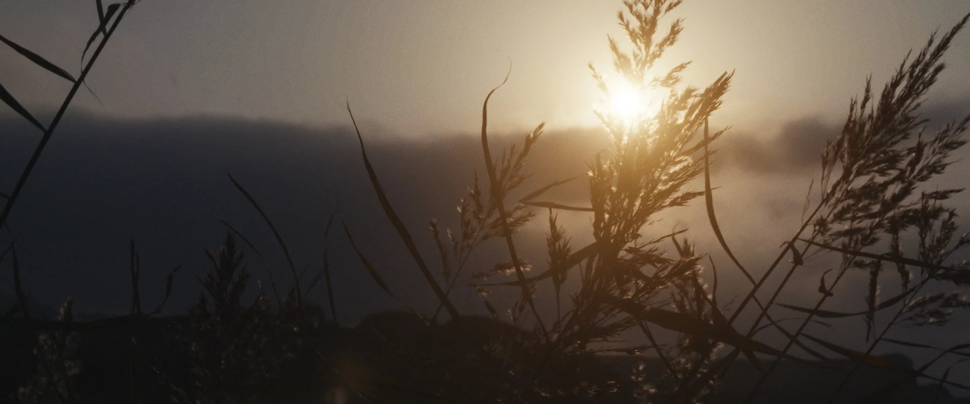 life-stories-still-frames_19.jpg