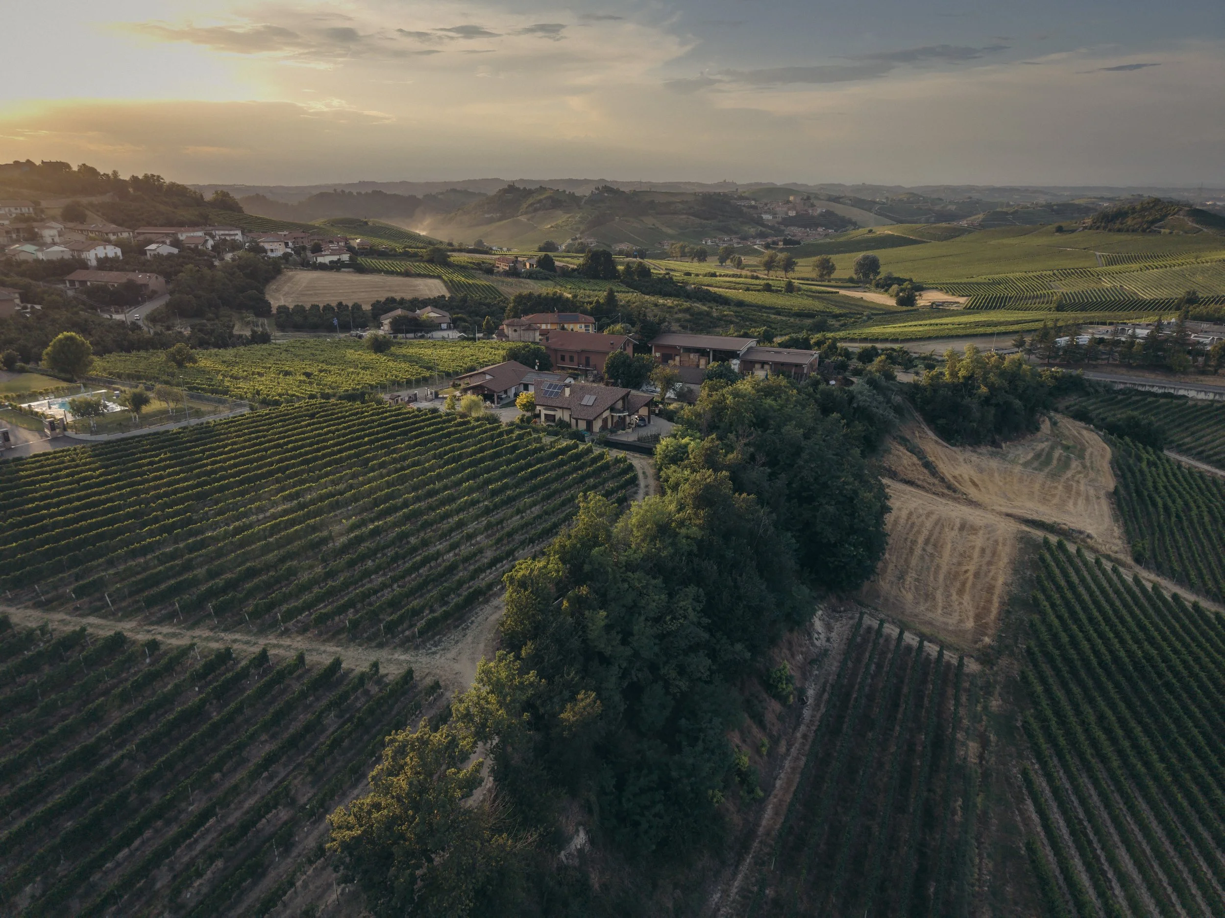 Nebbiolo country