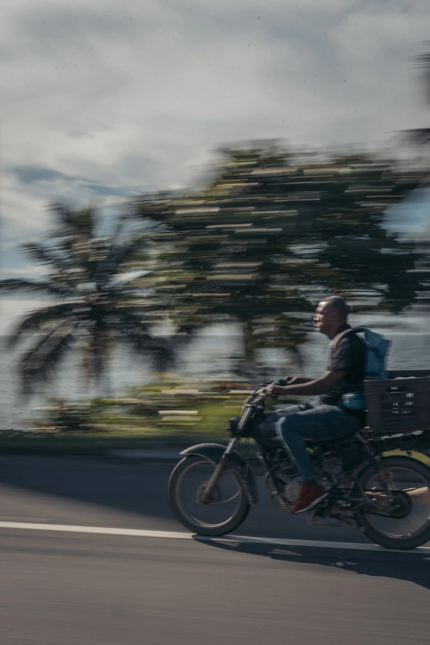 DomRep-RM-0113.jpg