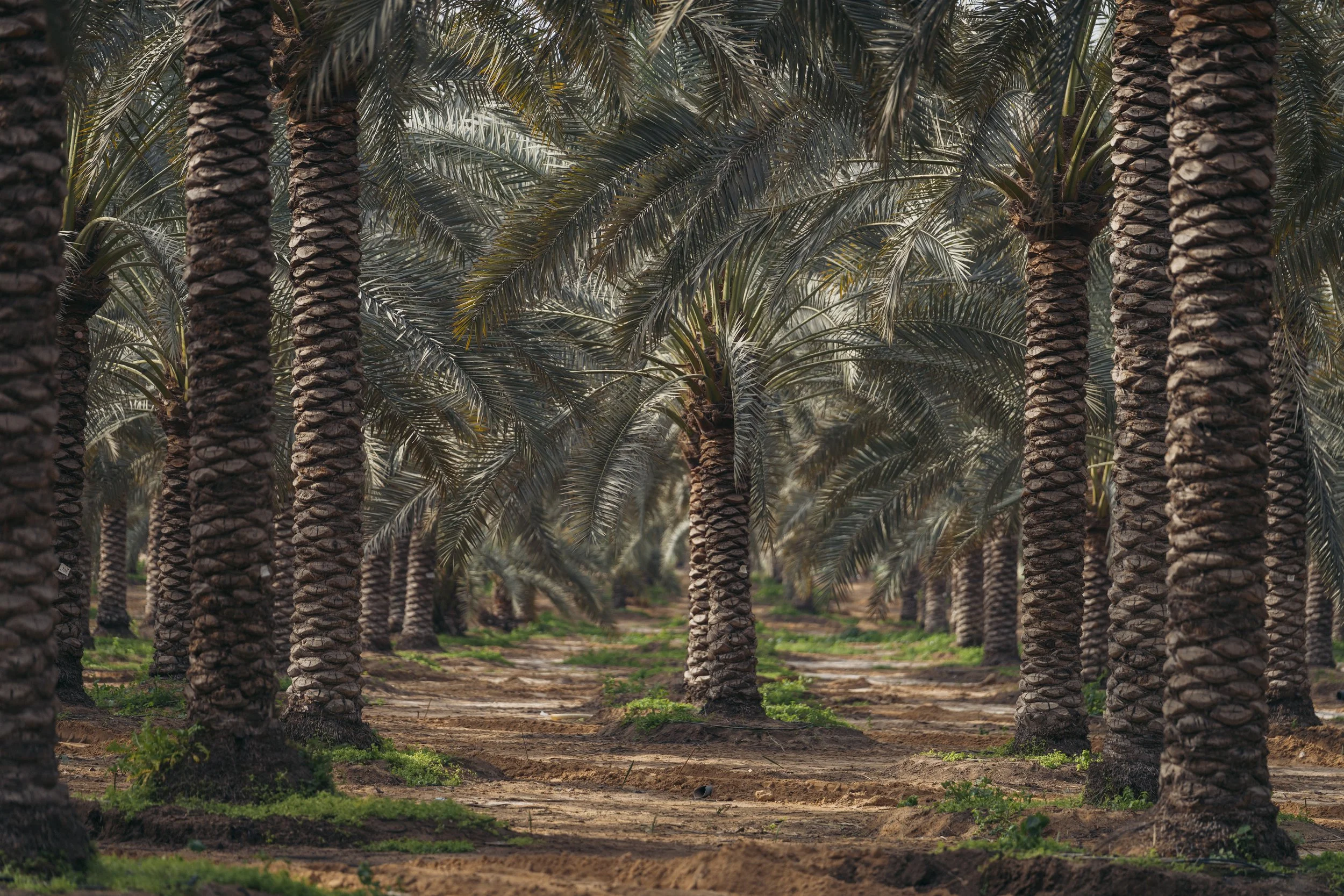 DPWorld-Egypt-Editorial-RM-1414.jpg