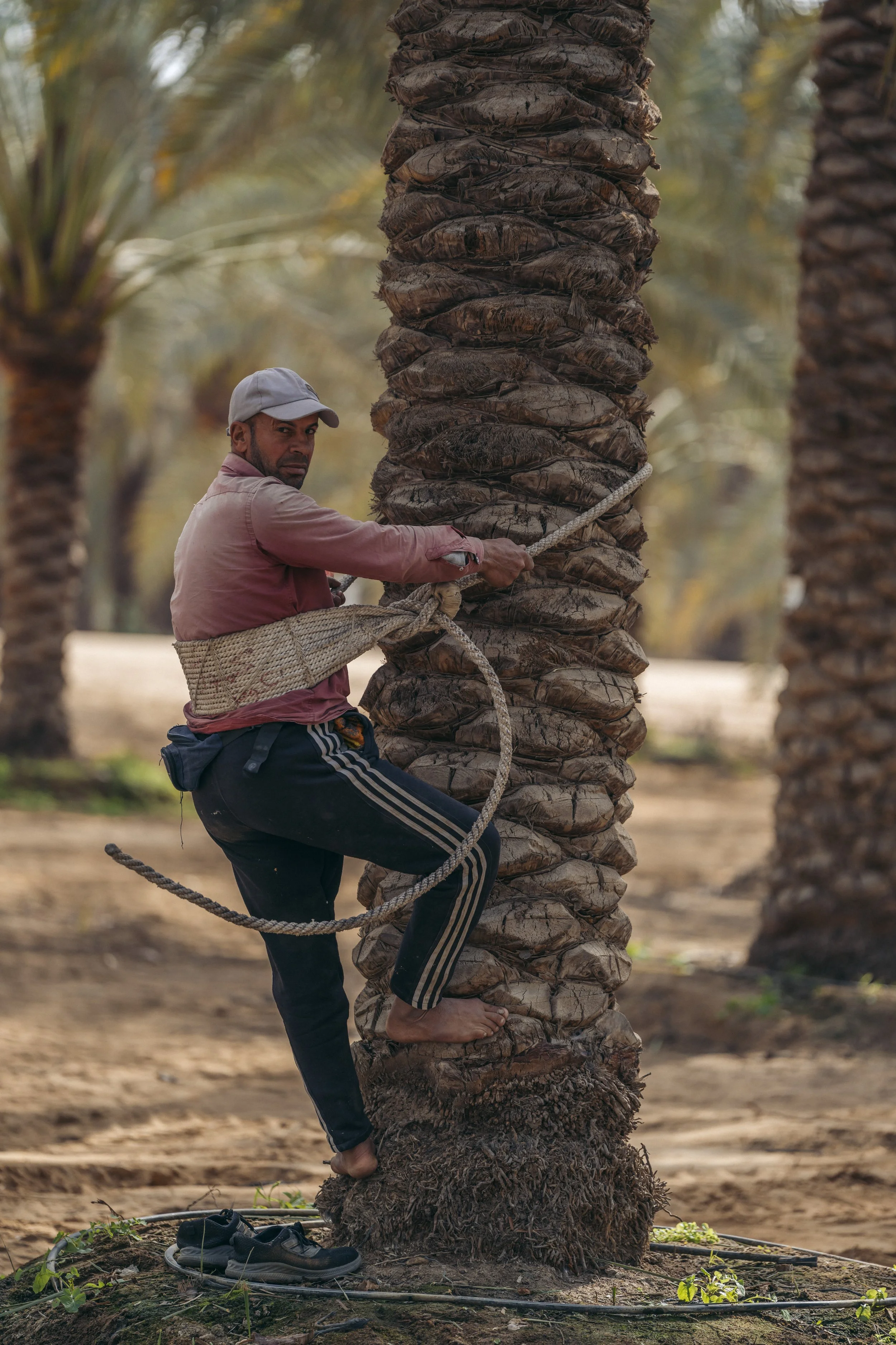 DPWorld-Egypt-Editorial-RM-1503.jpg