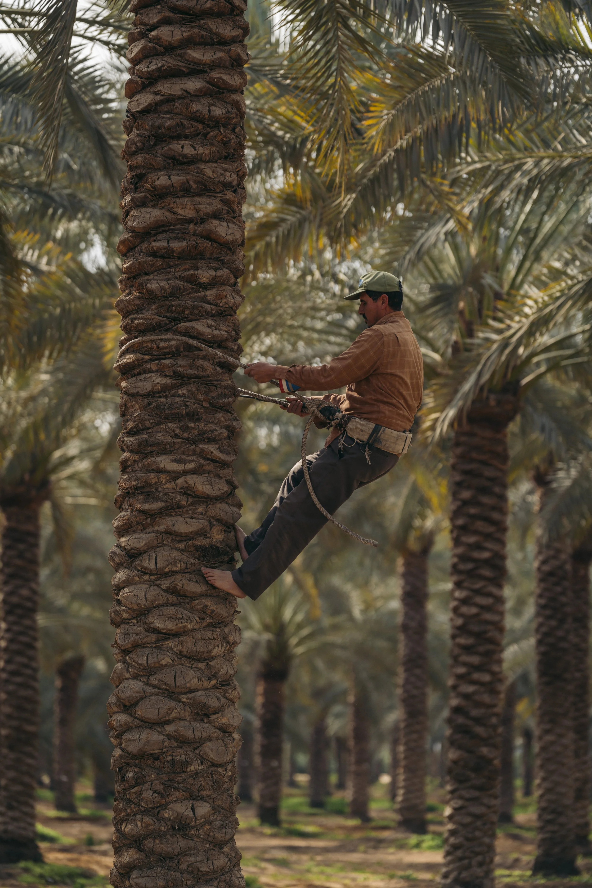 DPWorld-Egypt-Editorial-RM-1765.jpg