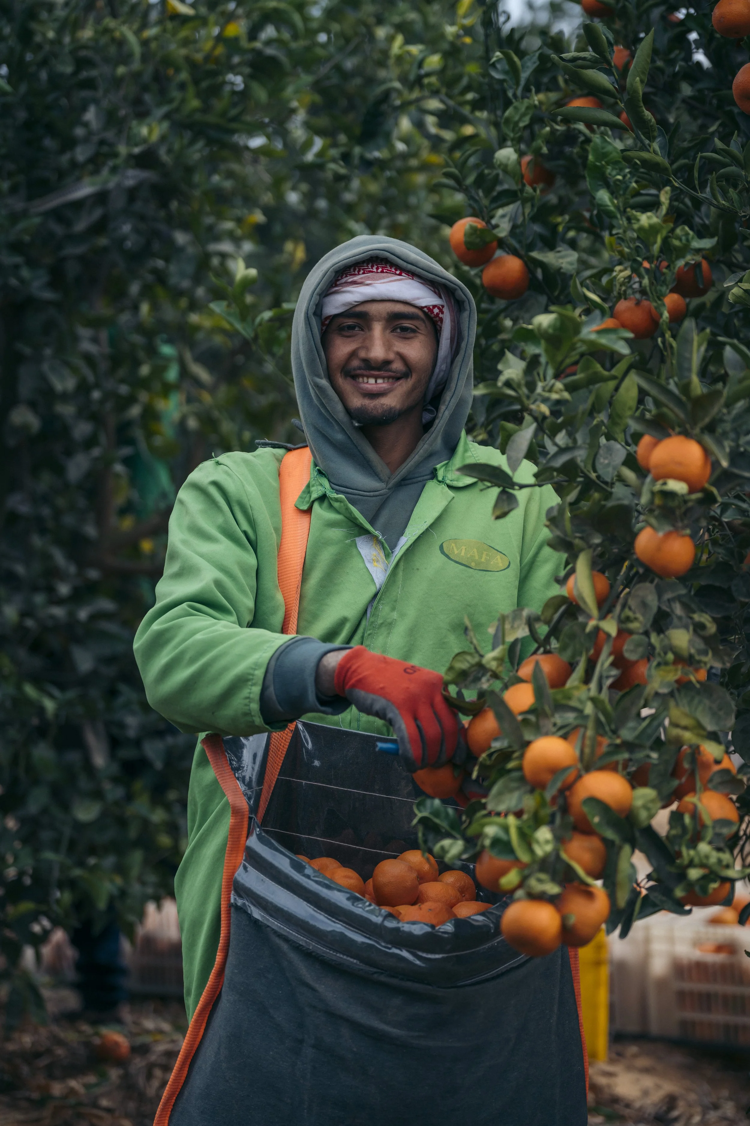 DPWorld-Egypt-Editorial-RM-0169.jpg