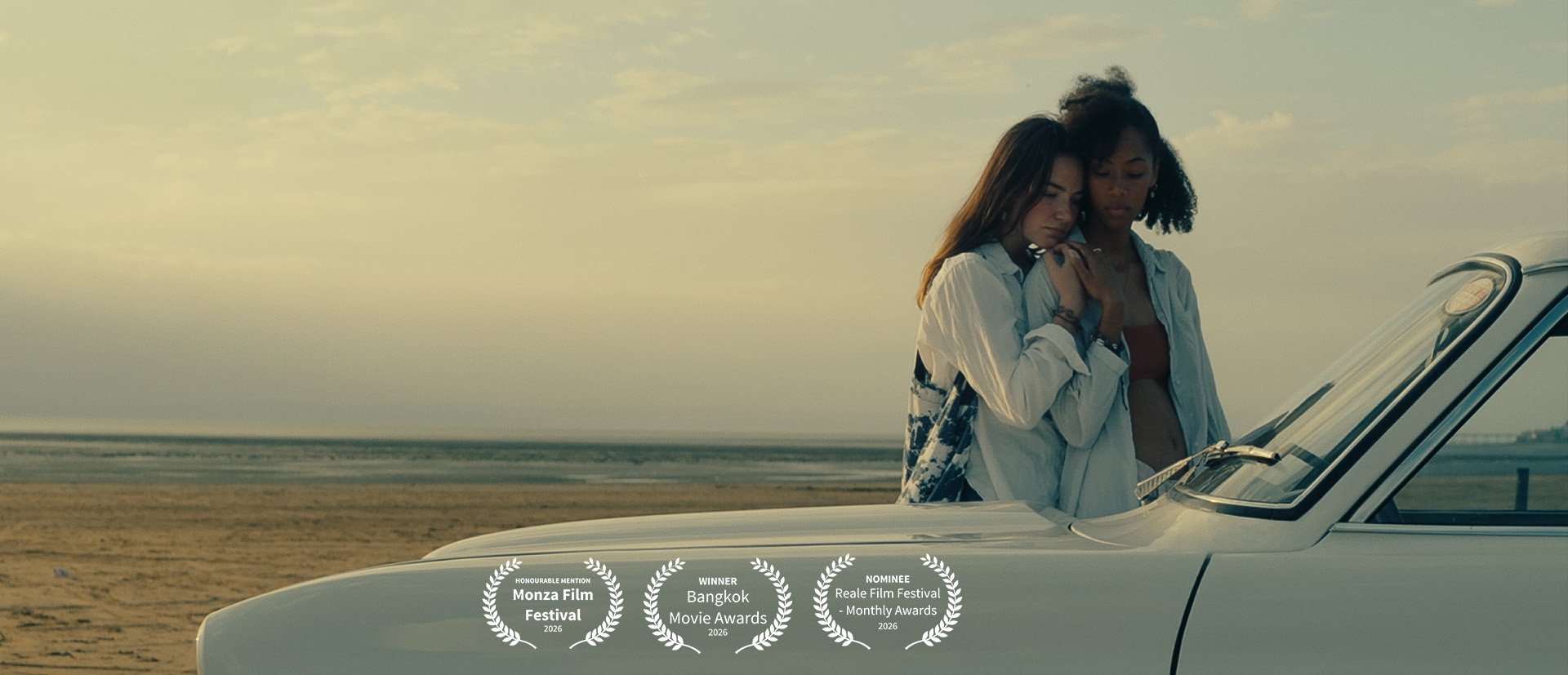 We Shook The Sun - website - v02.jpg